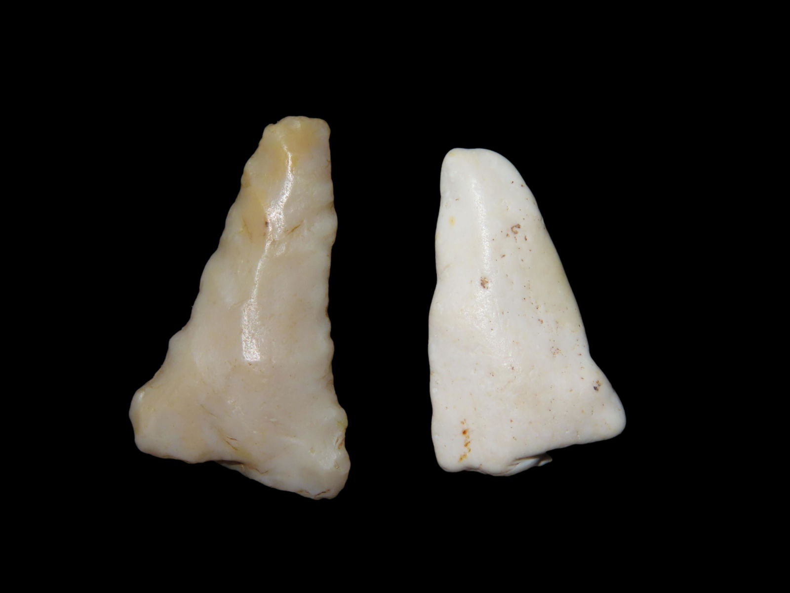 Pair of Gastrolith Arrowheads, found in Southern Illinois ** A gastrolith is an arrowhead that has (1 of 5)