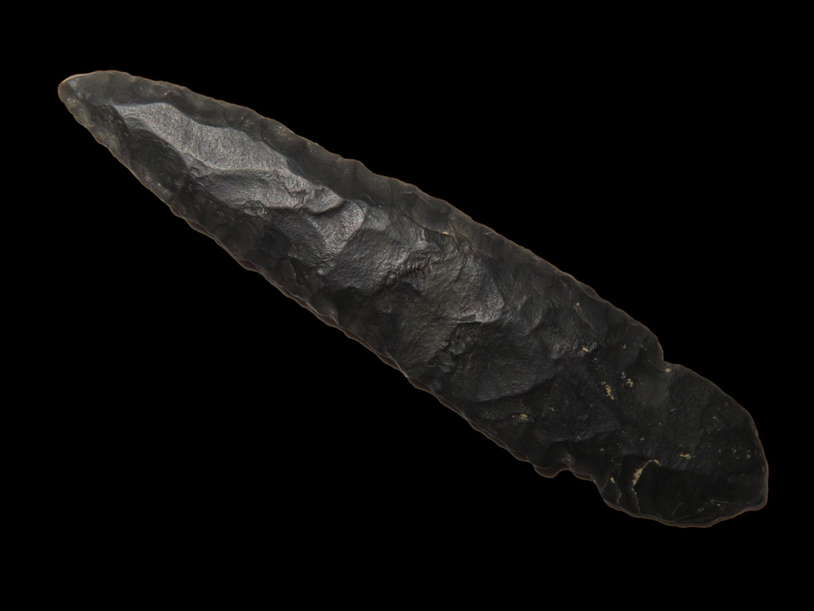 3 3/4" Turkey Tail, found in Cross County Arkansas, EX Dr David Harner Collection (1 of 10)