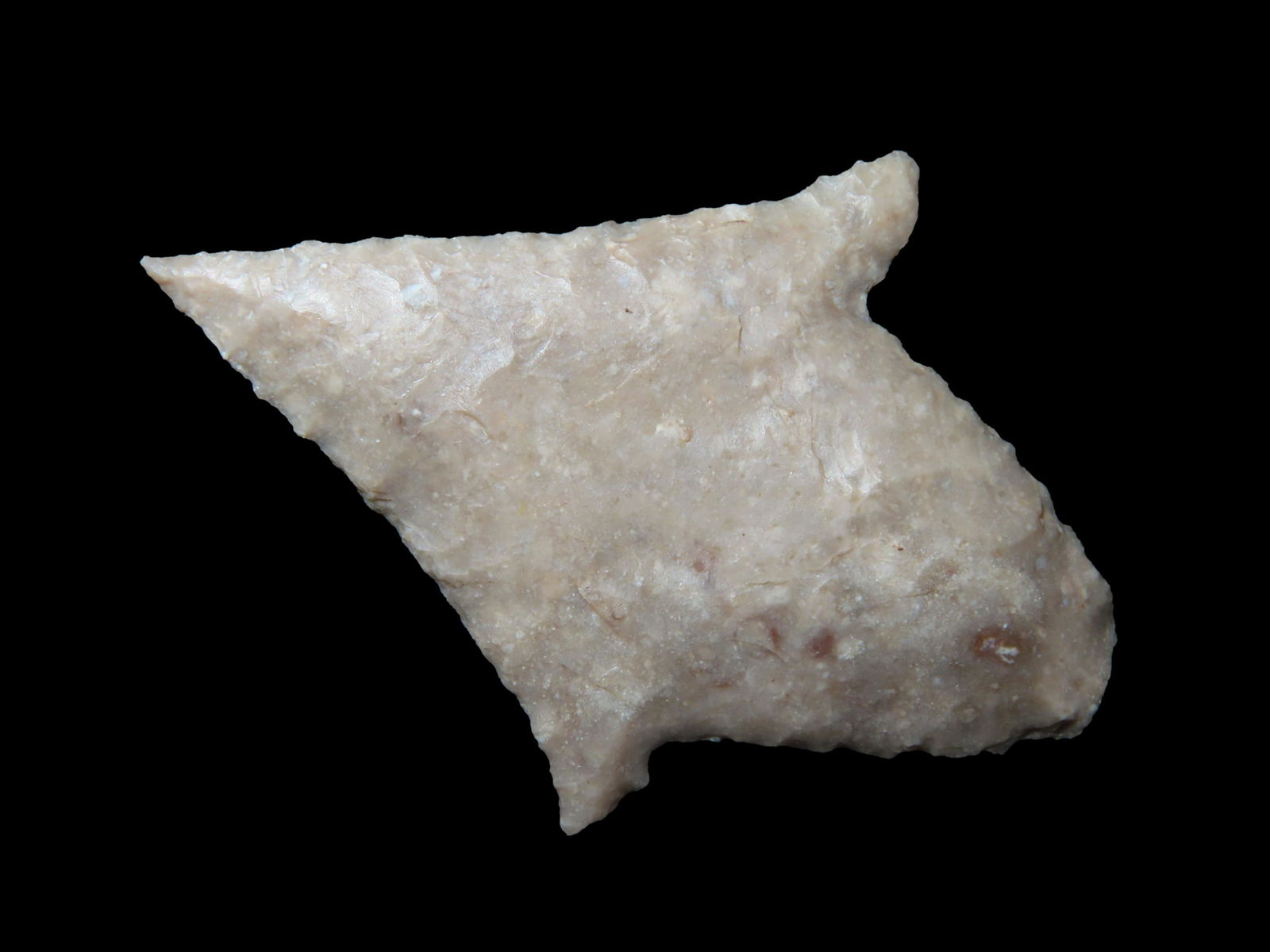 2 5/16" Augustin,  Motley COA, found in Pima Co Arizona (1 of 9)