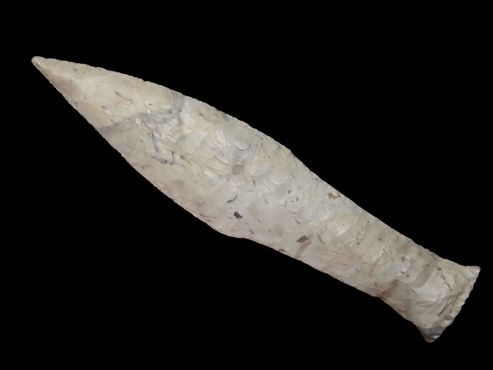 6 1/2" Incredible Denmark Nordic Neolithic Dagger, Fossiliferous Chert Material; Ben Stermer COA; (1 of 13)