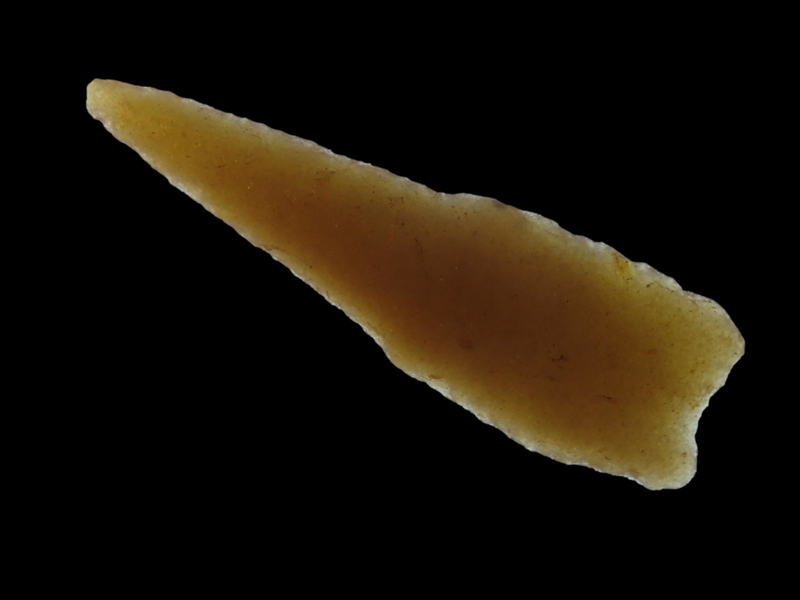 2 11/16" Paleo /Archaic Drill, Hixton Quartzite Material; Jerry Dickey COA; Found in Grant, WI. (1 of 12)