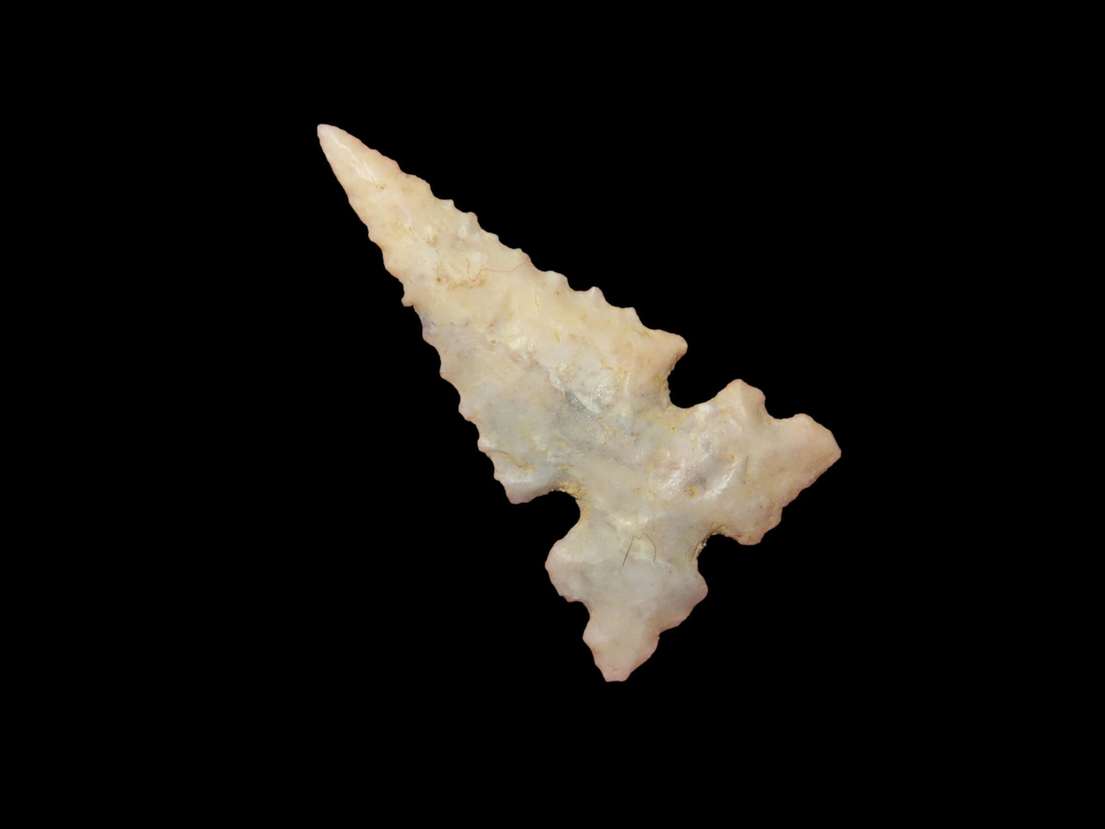 1 3/16" Outstanding Five Notched Cahokia,Roy Motley COA; Creek Stained Burlington Chert Material; (1 of 9)