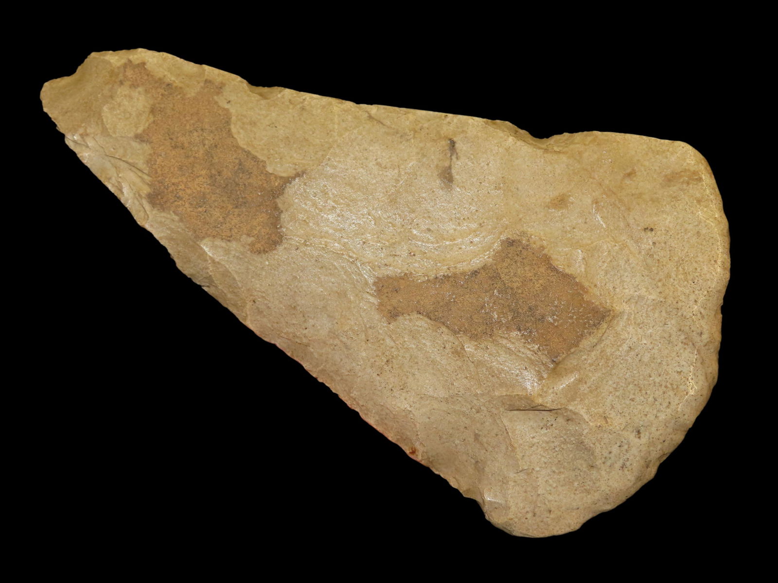 10 5/8" Flare Bit Spade made of Mill Creek Chert quality use wear and highly polished bit, found in: 10 5/8" Flare Bit Spade made of Mill Creek Chert quality use wear and highly polished bit, found in Humphry Co Tennessee