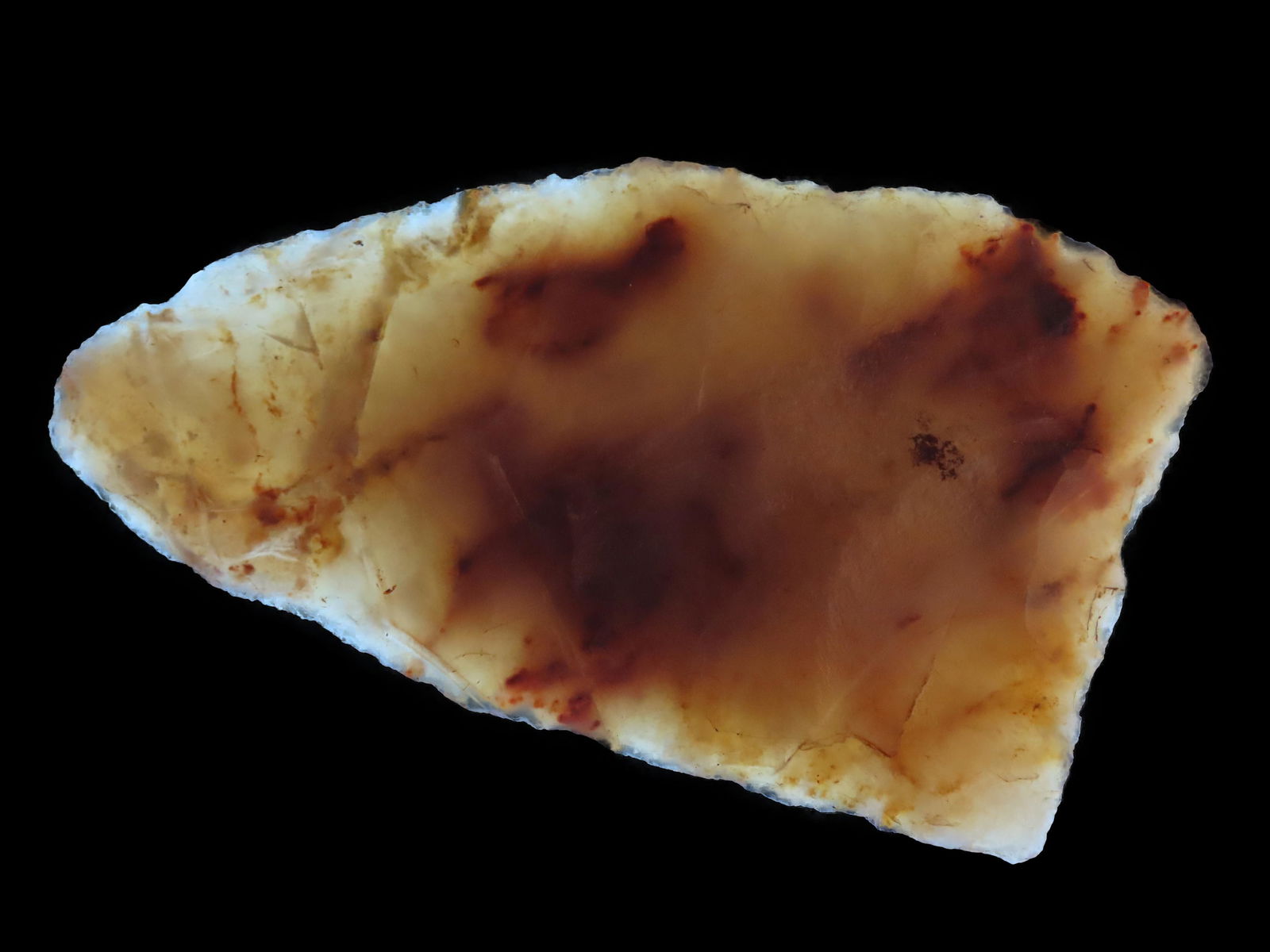 Rare 3 1/2" Cody Knife, Motley COA, High Plains  Found in Colorado, Colorful Chalcedony, EX. Robert (1 of 12)