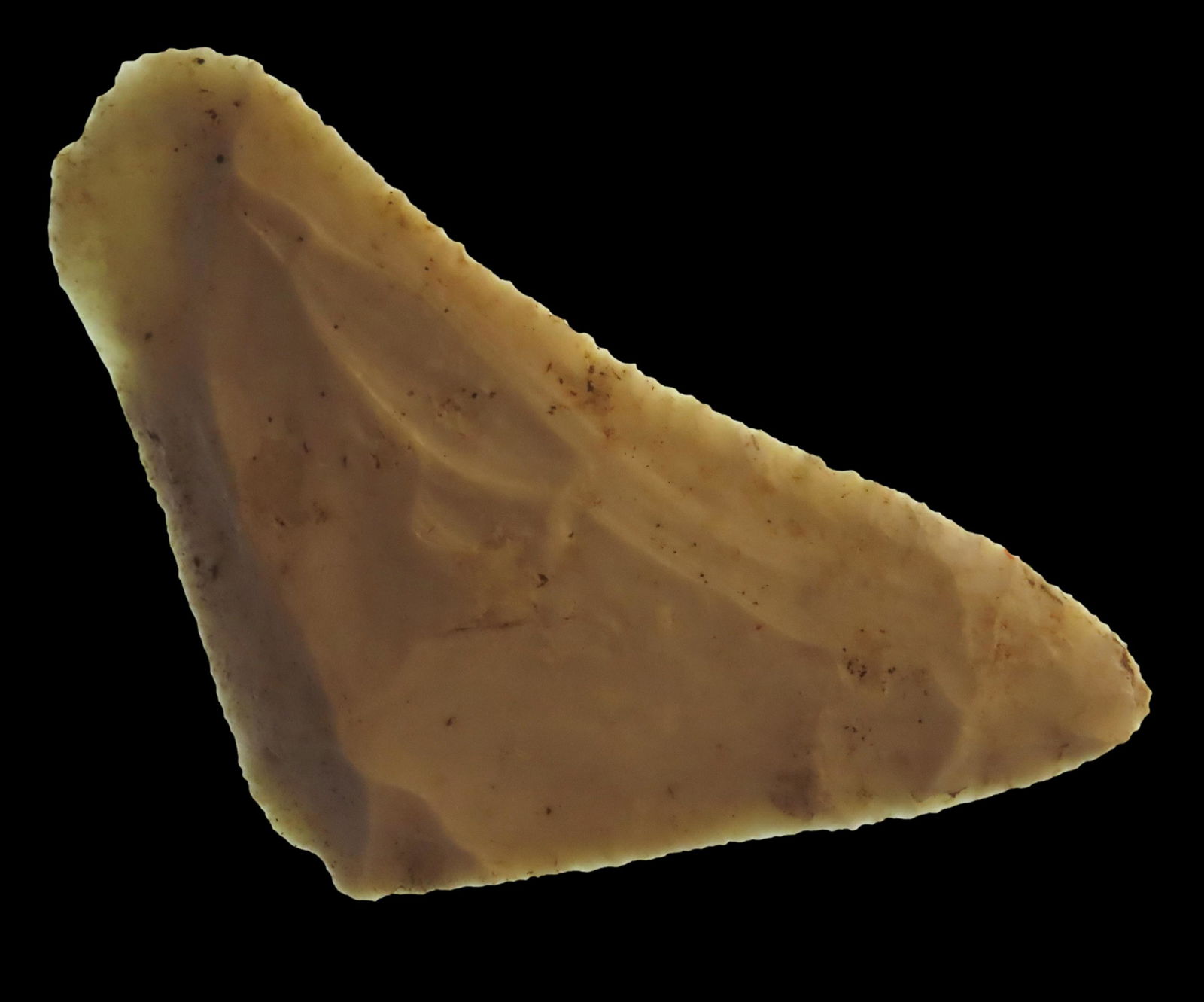 3 5/16" Early Paleo Micro-flake Knife, Motley COA,  found in Illinois (1 of 9)