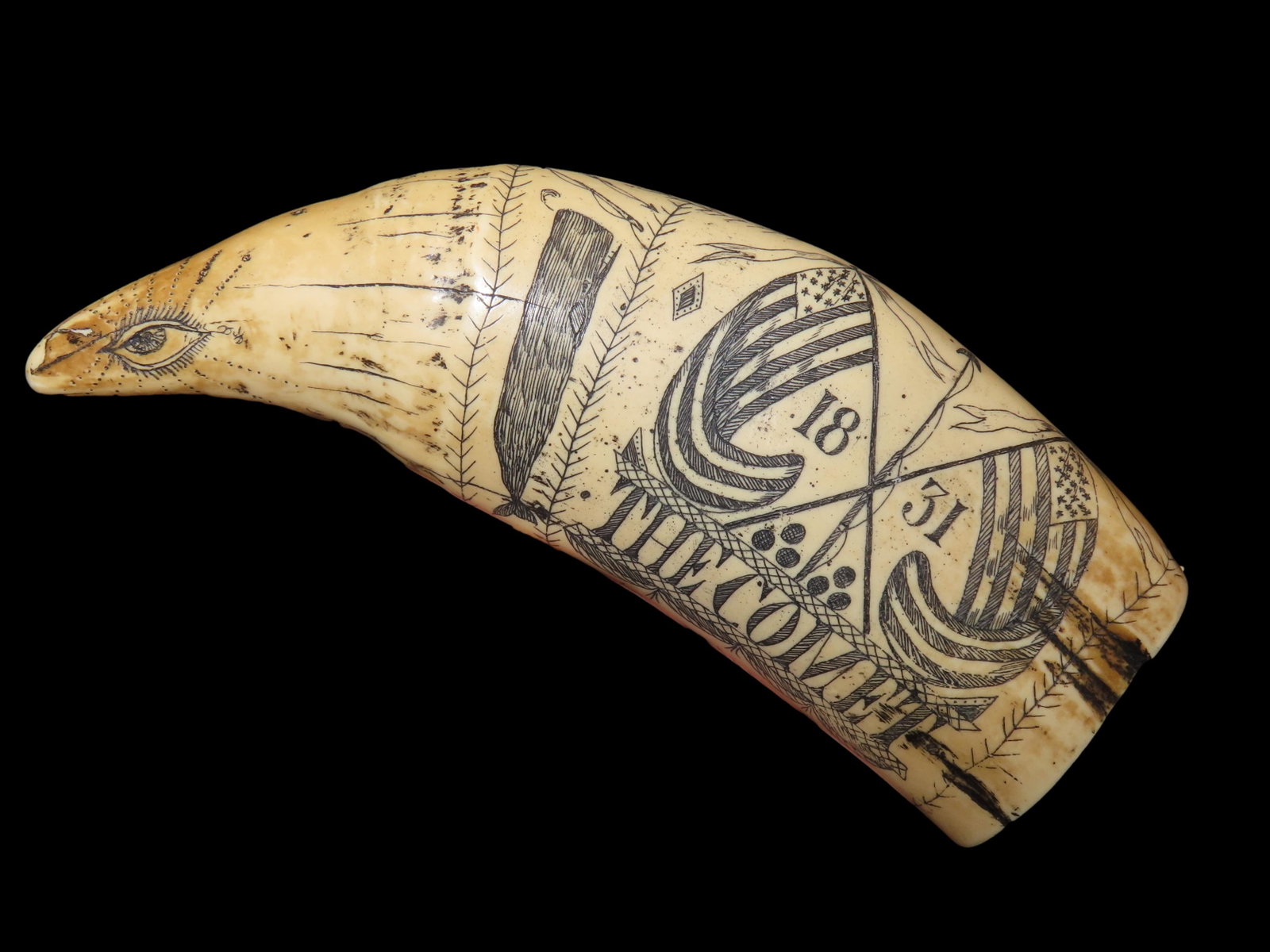 5 3/4" Scrimshaw Piece Featuring a Whale, Flags, Sailing ship "The Comet", Multiple Intricate: 5 3/4" Scrimshaw Piece Featuring a Whale, Flags, Sailing ship "The Comet", Multiple Intricate Designs, and signed by D.Hart, Repoduction