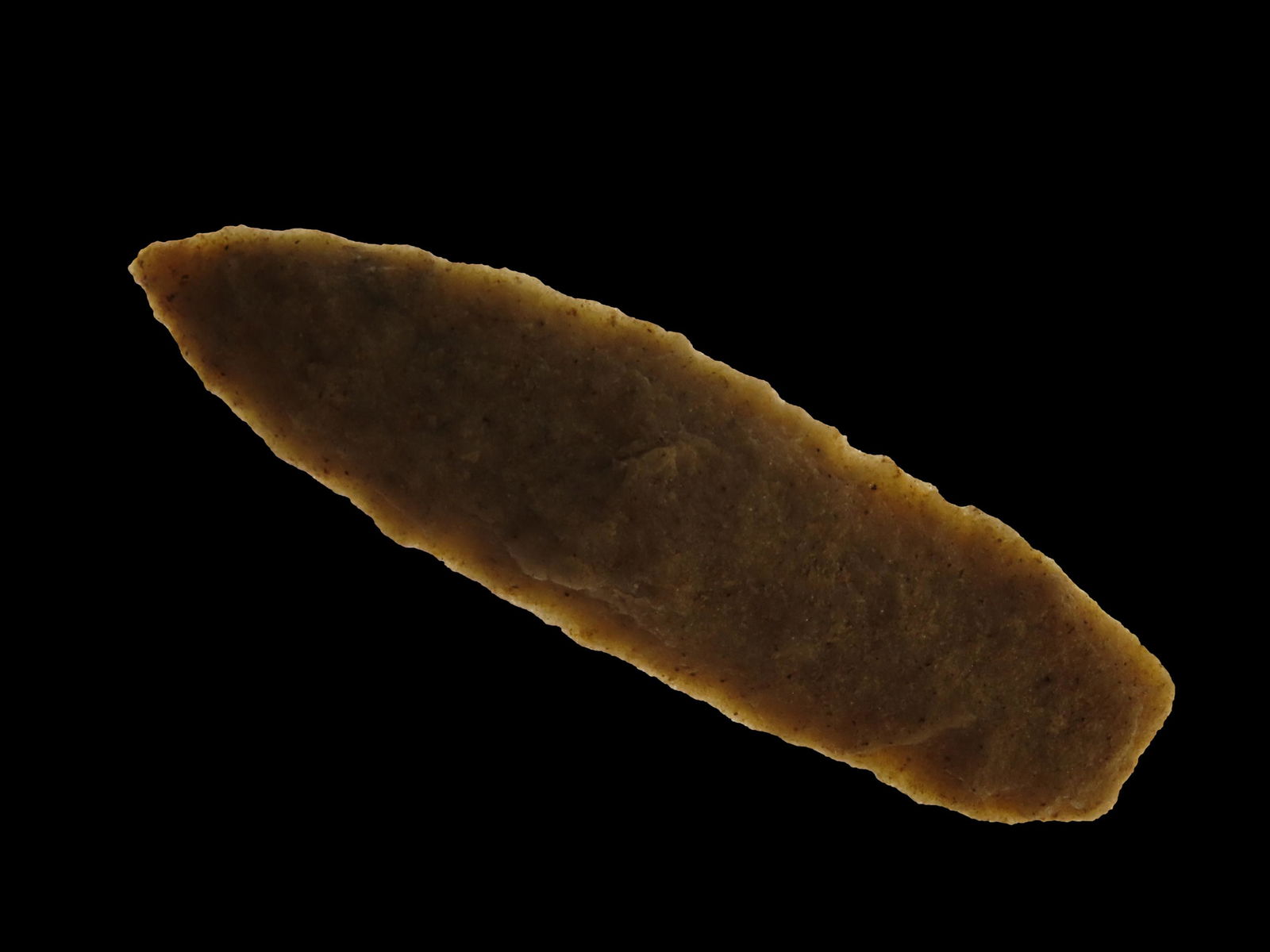 2 3/4" Early Archaic High Plains Lanceolate Point, Stermer COA, Made of Quartzite, found in Western (1 of 7)