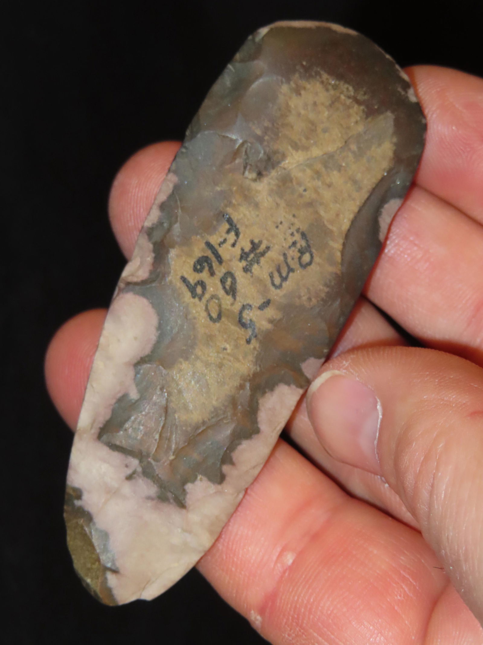 3.1/8" Highly Polished Mill Creek Chert Chisle. Missouri Site Documented PM-5, Ex Tommy Bryden: 3.1/8" Highly Polished Mill Creek Chert Chisle. Missouri Site Documented PM-5, Ex Tommy Bryden