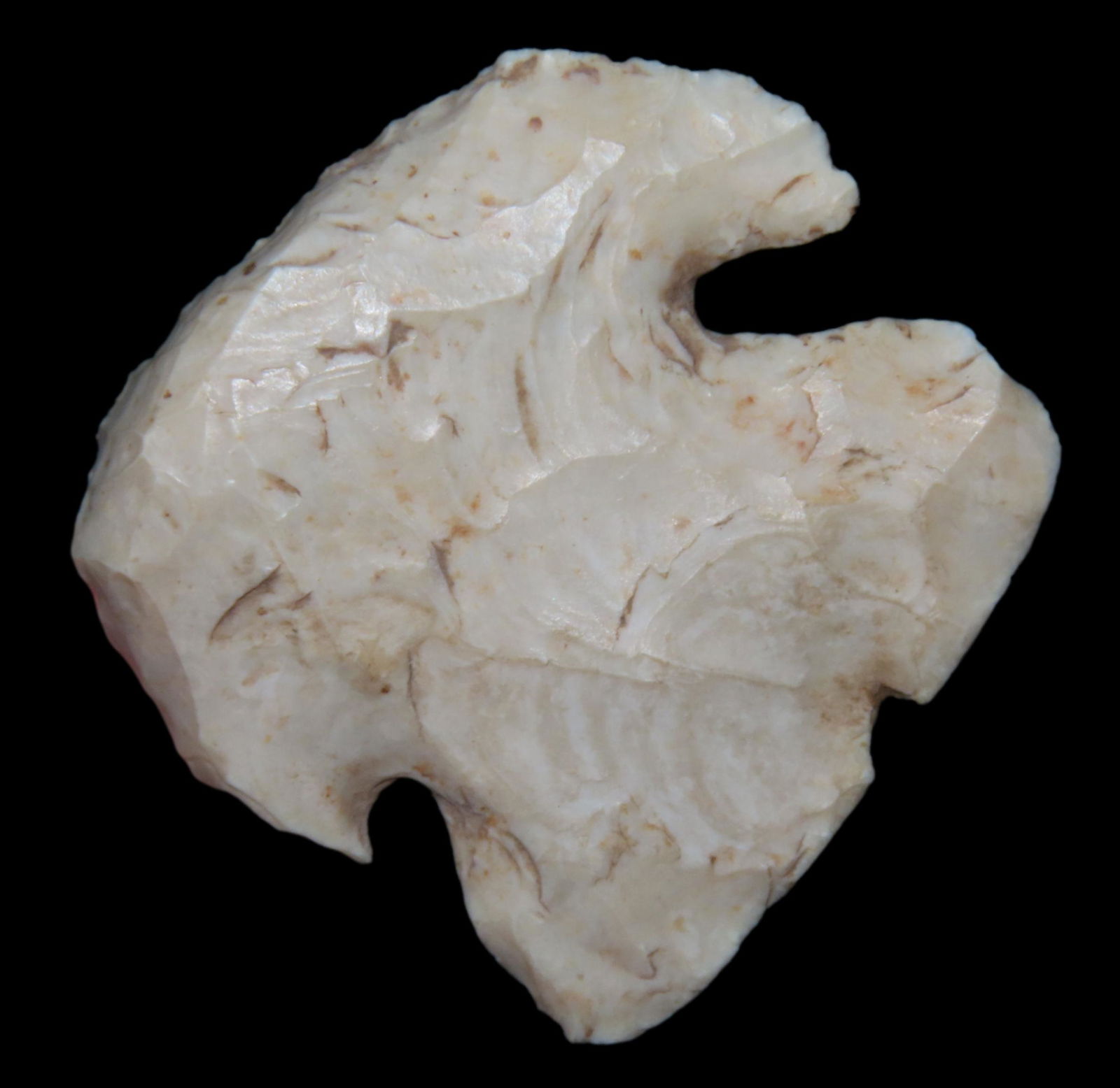 1 7/16" AMAZING THEBES HAFTED SCRAPER FOUND IN JERSEY COUNTY ILLINOIS, GREAT EXAMPLE, INDIAN ARROWHE (1 of 5)