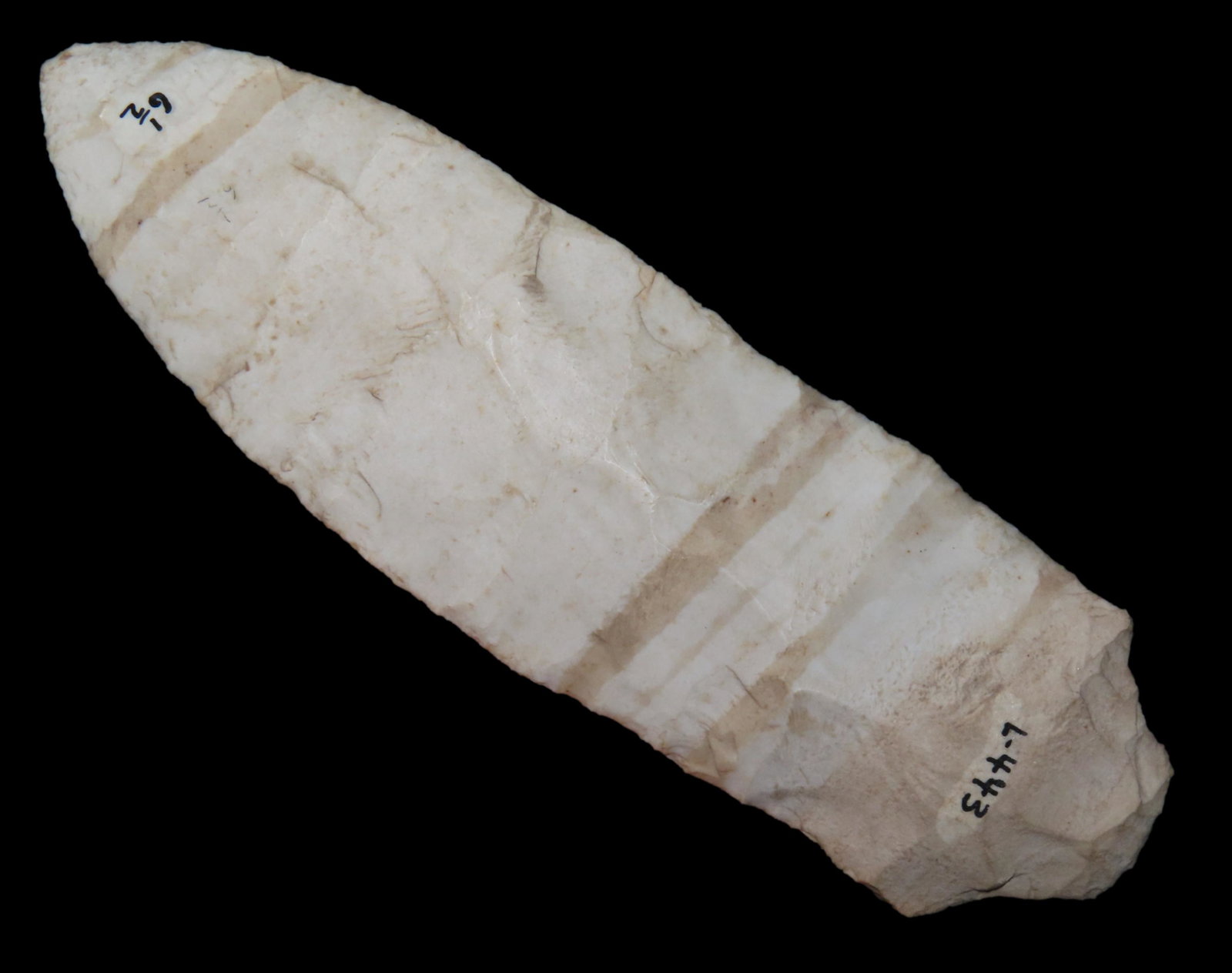 6 3/8" HUGE ETLEY / MAPLES , DICKEY COA, FROM GREENE COUNTY ILLINOIS, EX GLEN LEESMAN COLLECTION (1 of 10)