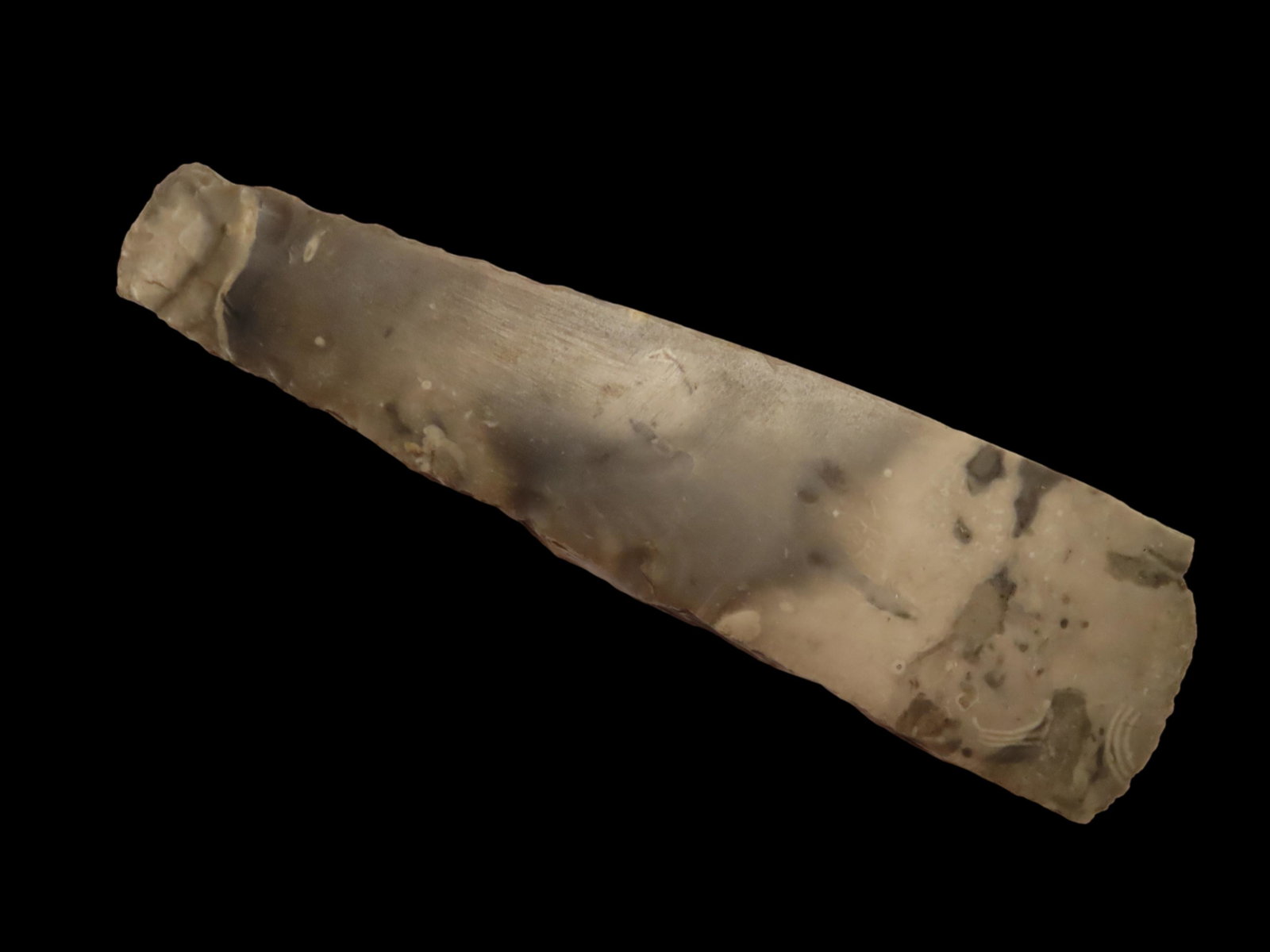 OUTSTANDING COLORFUL 8 3/4" DANISH FLINT AXE / CELT FROM EUROPE (1 of 12)