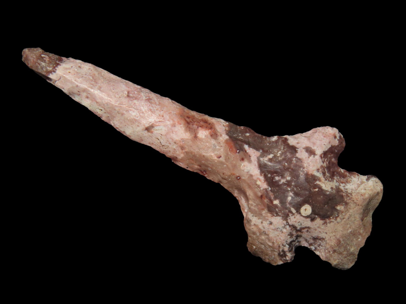 COLORFUL 3 1/4" LONG DRILL FOUND IN SALINE COUNTY MISSOURI, OUTSTANDING COLOR, INDIAN ARROWHEAD, ART (1 of 7)