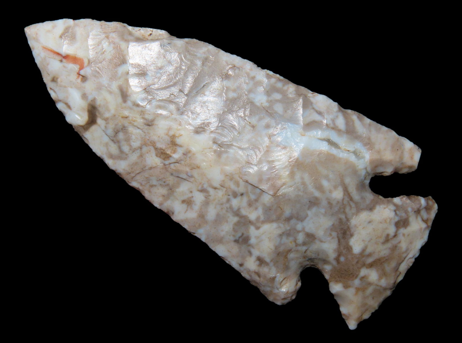 3" BEAUTIFUL KIRK CORNERNOTCH FOUND BY DUB LYERLY IN CRAIGHEAD COUNTY ARKANSAS, PHENOMENAL COLOR, VE (1 of 9)