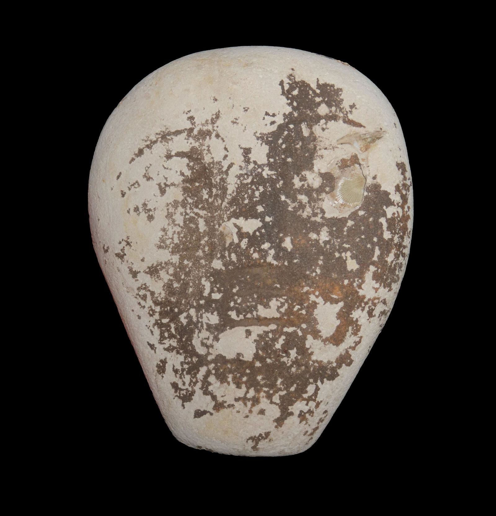 INCREDIBLE MAYAN STONE MASK, MOTLEY COA, FOUND IN CENTRAL AMERICA IN THE 1930'S (1 of 9)