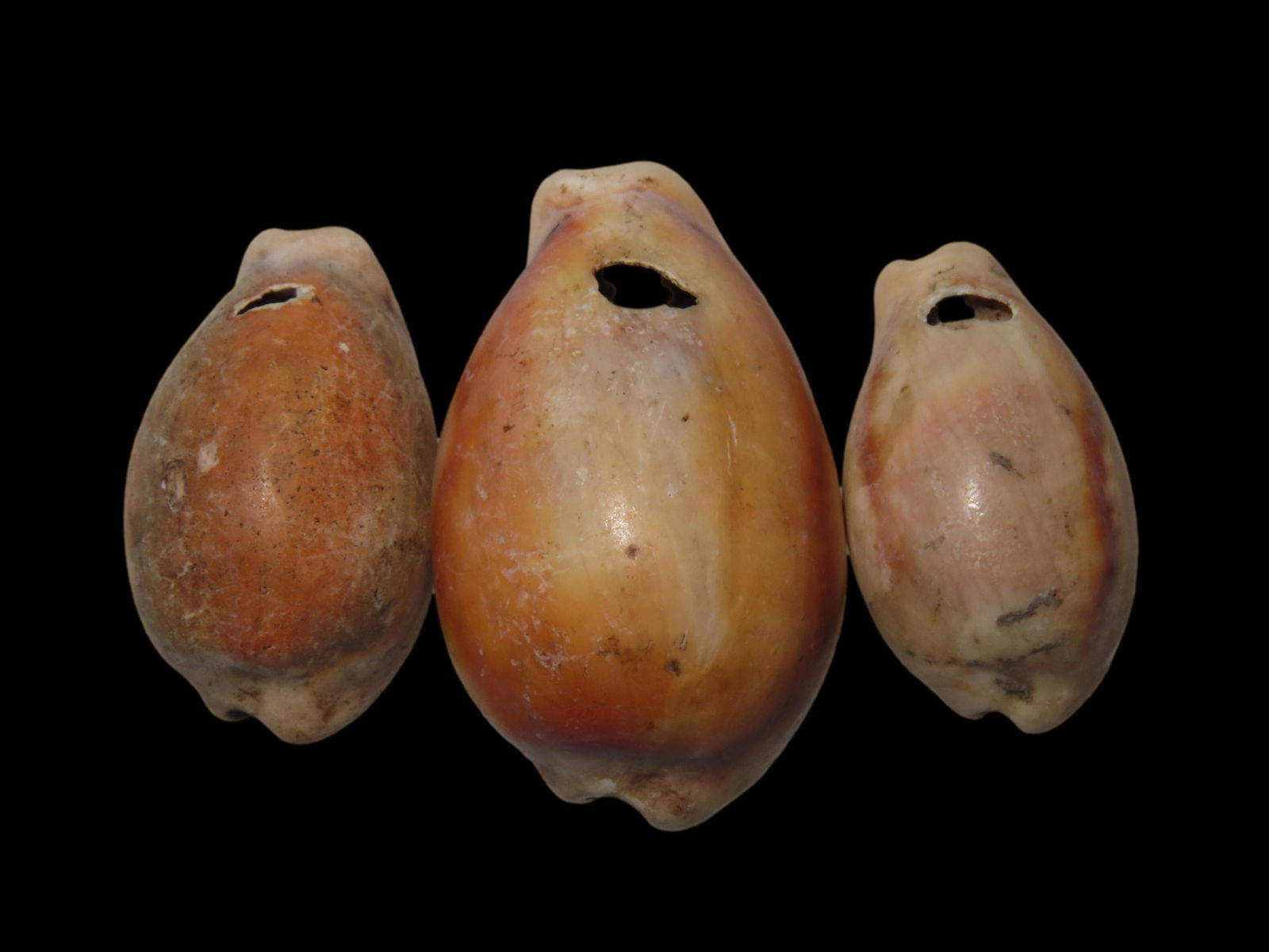 LOT OF 3 LARGE SHELL PENDANTS / BEADS FROM MEXICO, PRECOLUMBIAN ARTIFACTS (1 of 7)