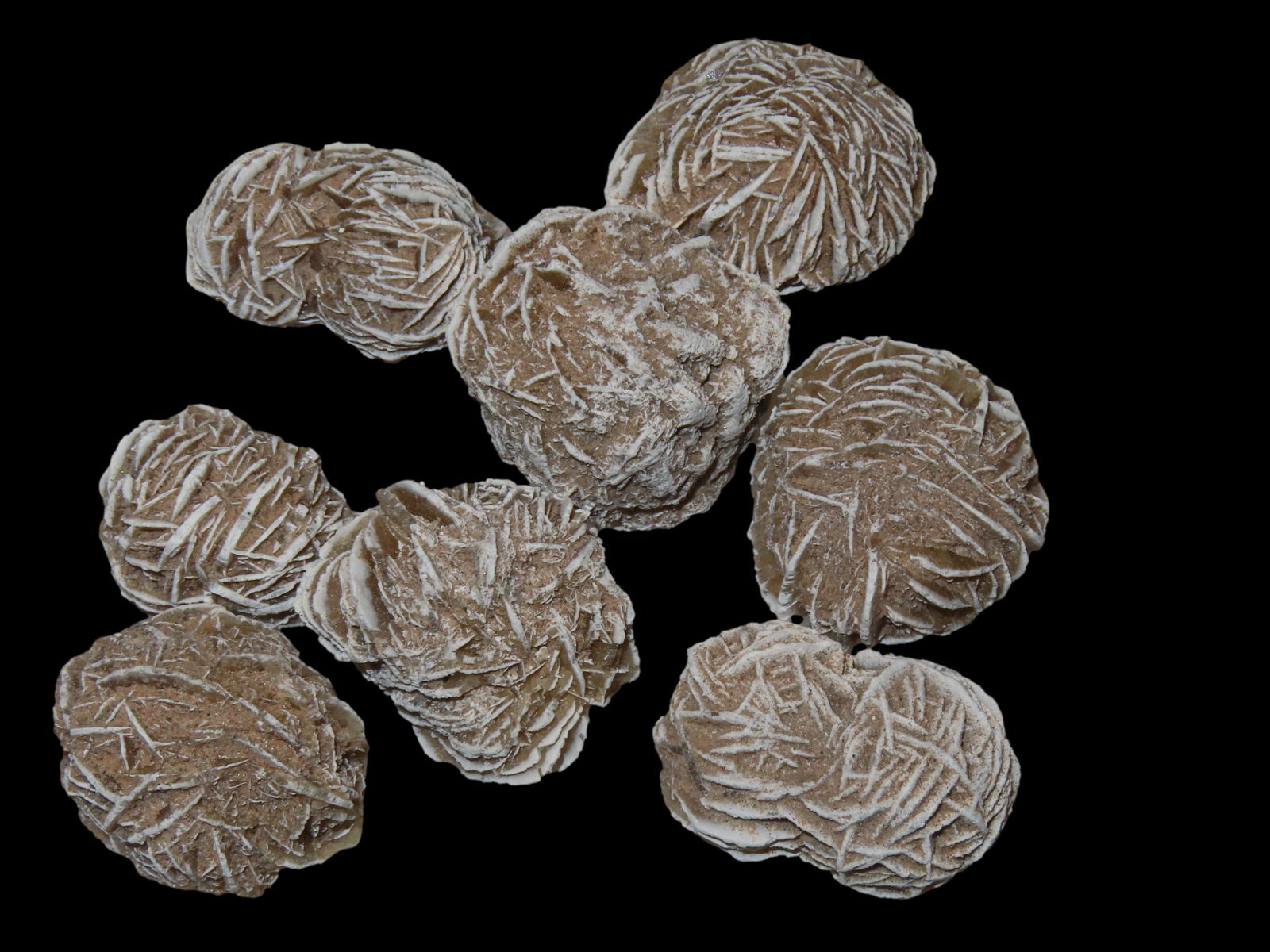 GREAT LOT OF DESERT ROSE GYPSUM FOSSILS, GREAT EXAMPLES, 250 MILLION YEAR OLD FOSSILS! (1 of 3)