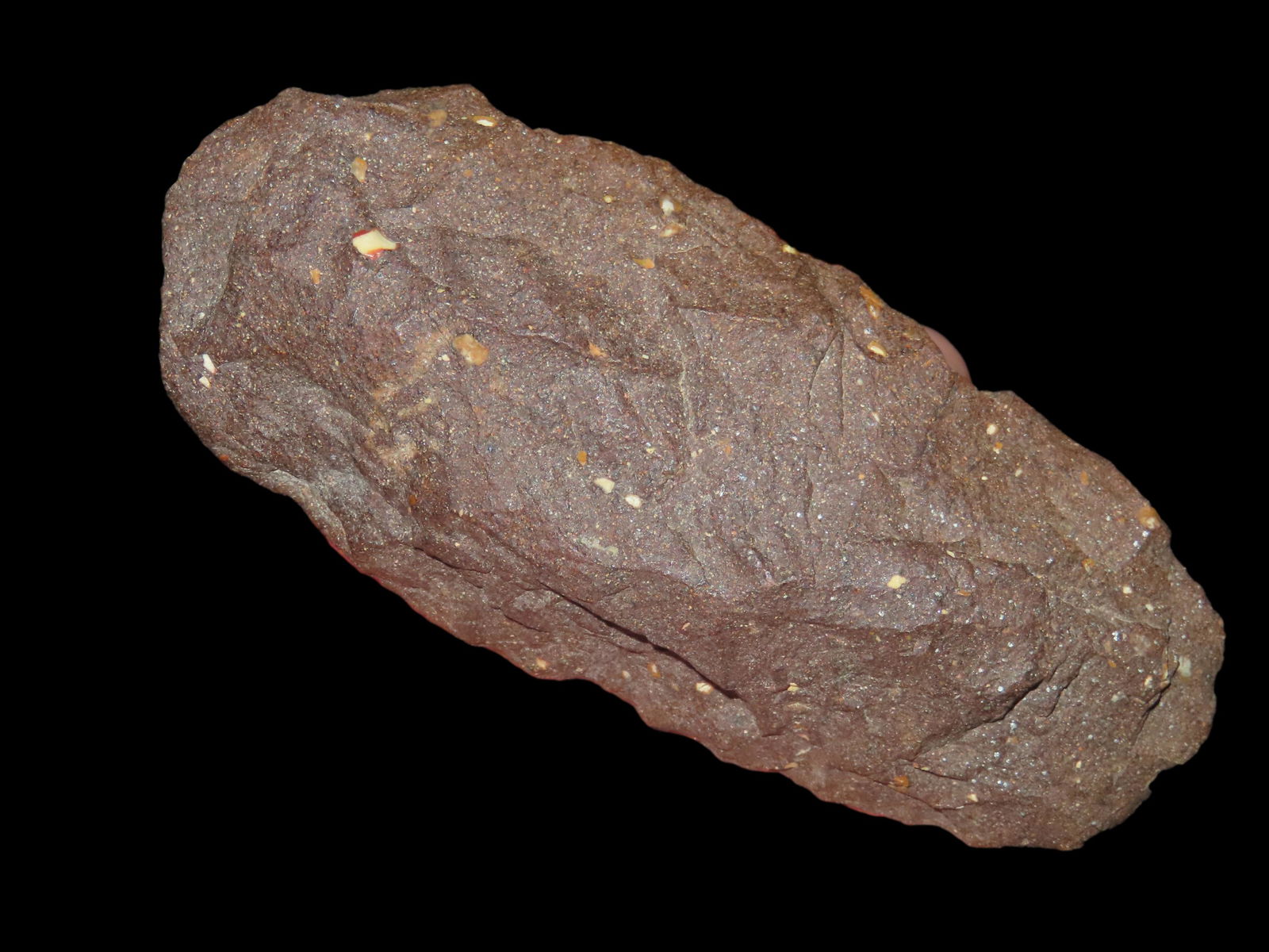 4 3/4" Unique Conglomerate Iron-Stone Celt. Found in Calhoun County Illinois. (1 of 5)