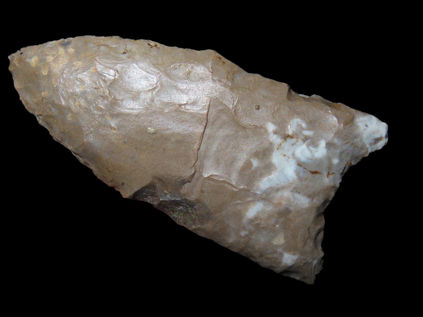 2 1/2" Fluted Clovis KY/TN Ex Walt McIntyre Collection (1 of 9)