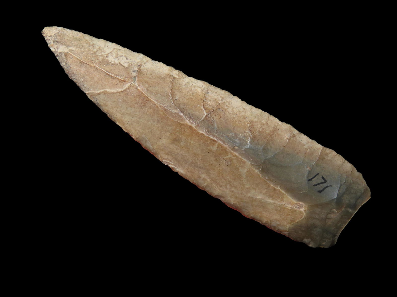 4 5/8" Unifaced Cortex Blade from Jackson Co, Illinois Ex John Samuel (1 of 8)