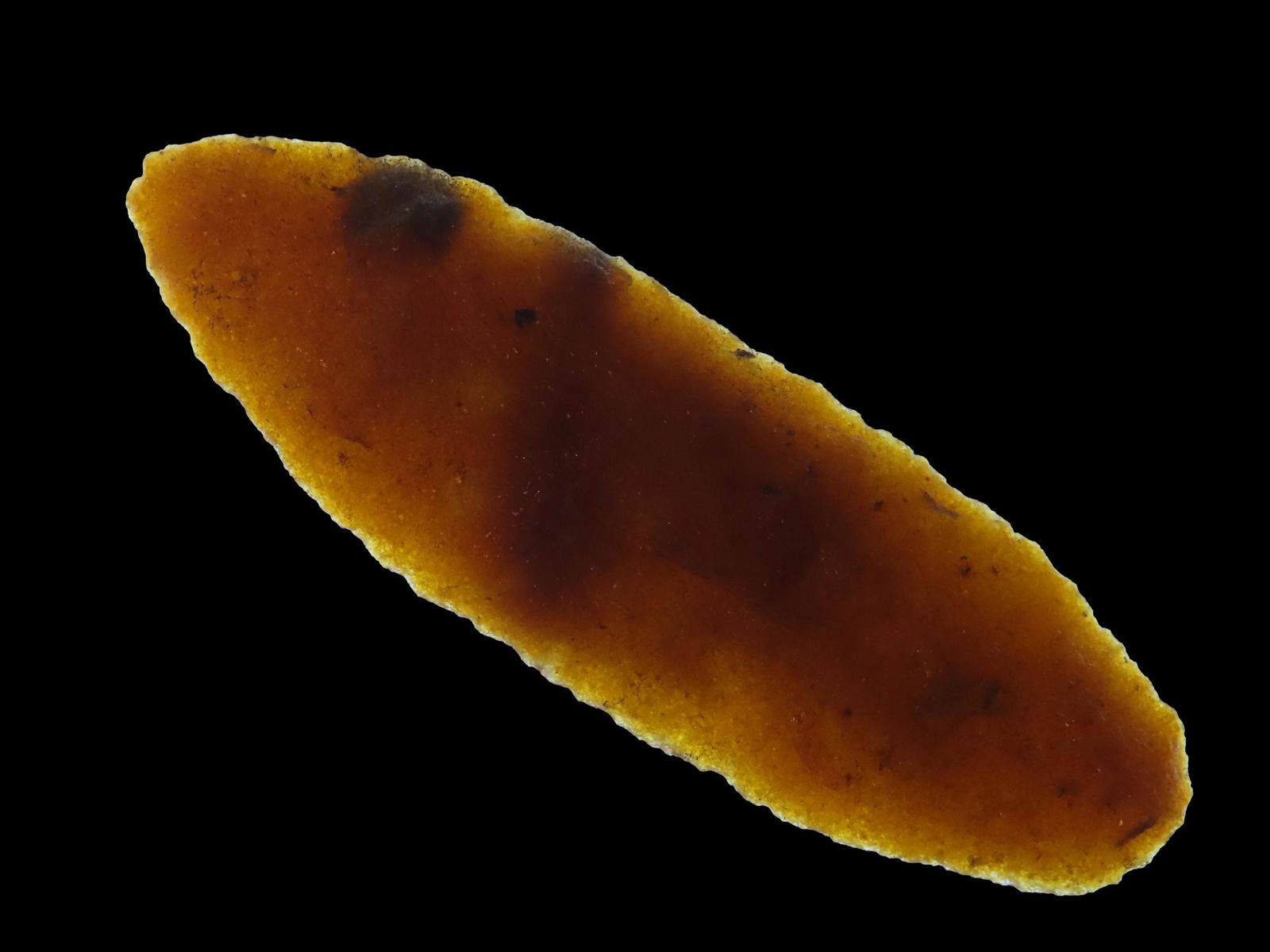 5 1/8" Hixton blade Ex Steve Elwood Ex Janet and Steve Gobeli (1 of 10)