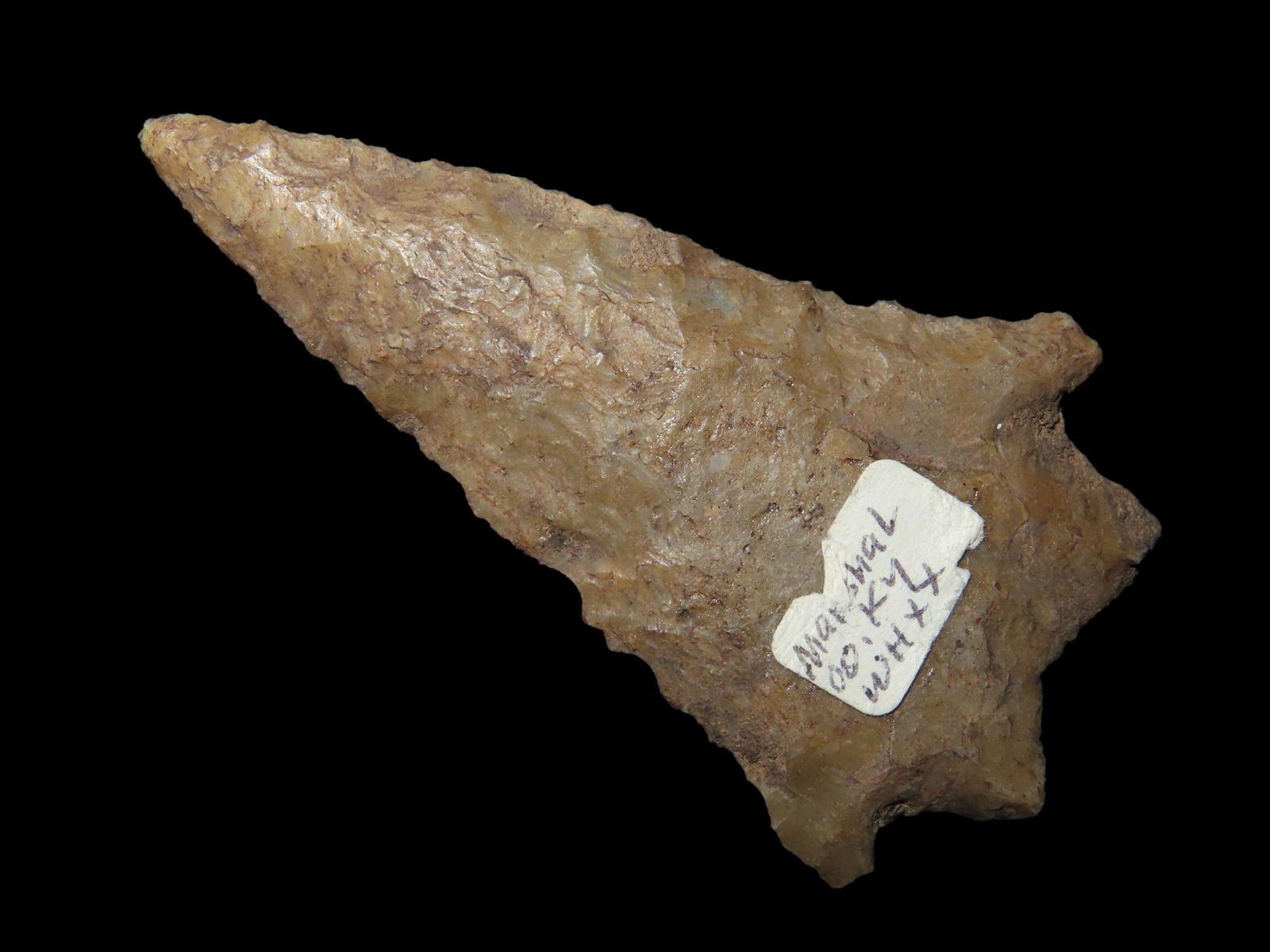 2 1/2" Pinetree from Marshall Co, Kentucky (1 of 6)