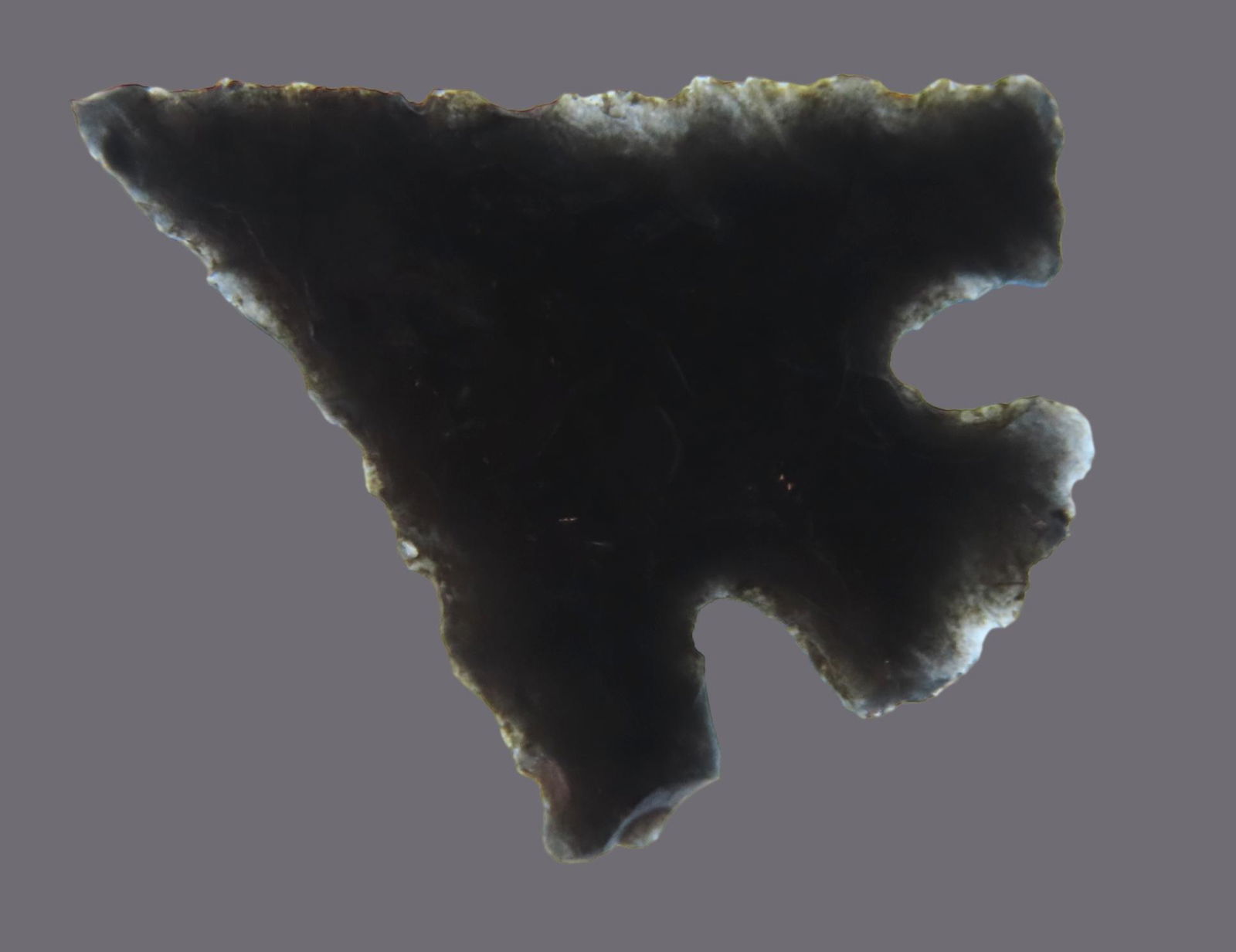 13/16" Western Obdisian Gem point from Oregon, Rouge River, Ex Jay Robinson Ex Dean Thompson (1 of 5)