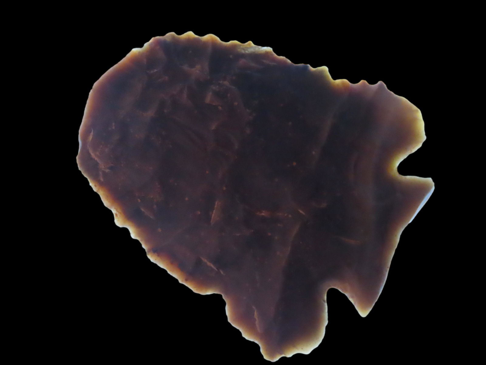 1 7/8" Fractured Base Decatur Halfted Scraper made of Sonora from KY (1 of 8)