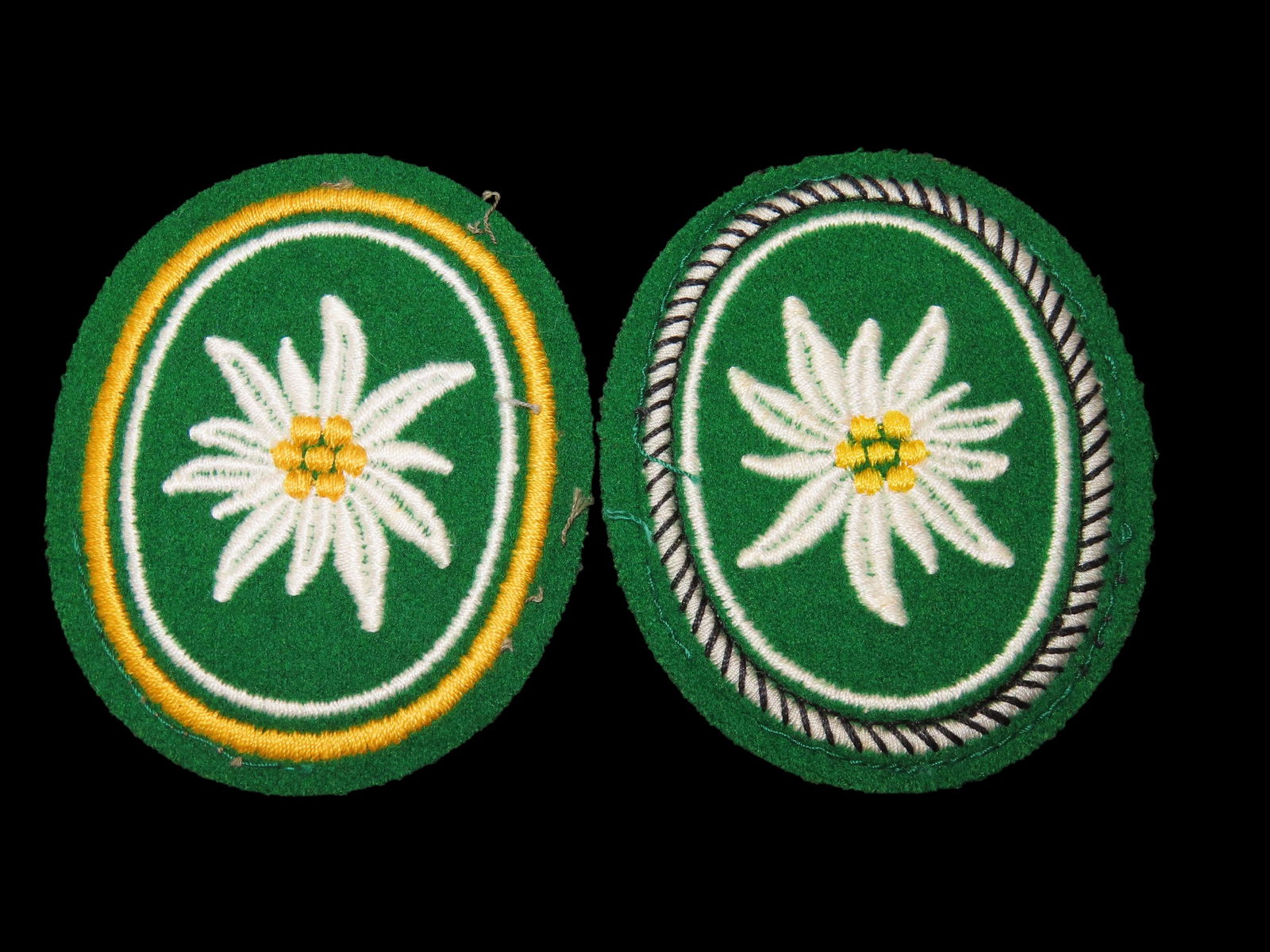 Germany Alpine Troops Patch 2 varieties (1 of 2)
