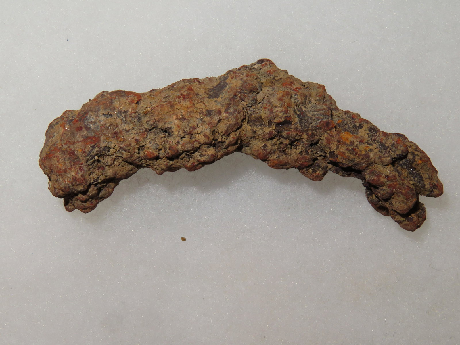 Coprolite Fossilized Dinosaur Poop Approximately 100 million Years Old from Madagascar (1 of 5)