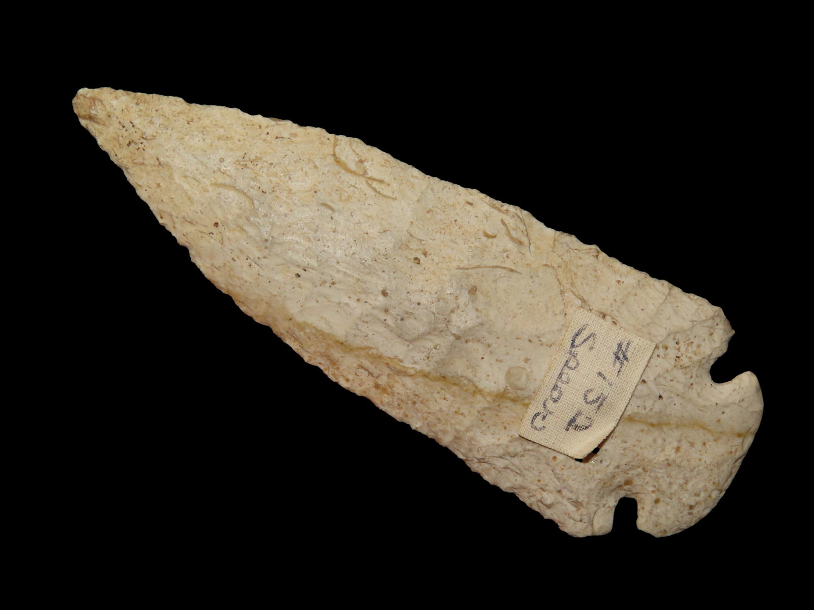 4 1/2" Dovetail DeKalb CO Illinois Ex: Dr. Postal Ex: Richard Gill (1 of 7)