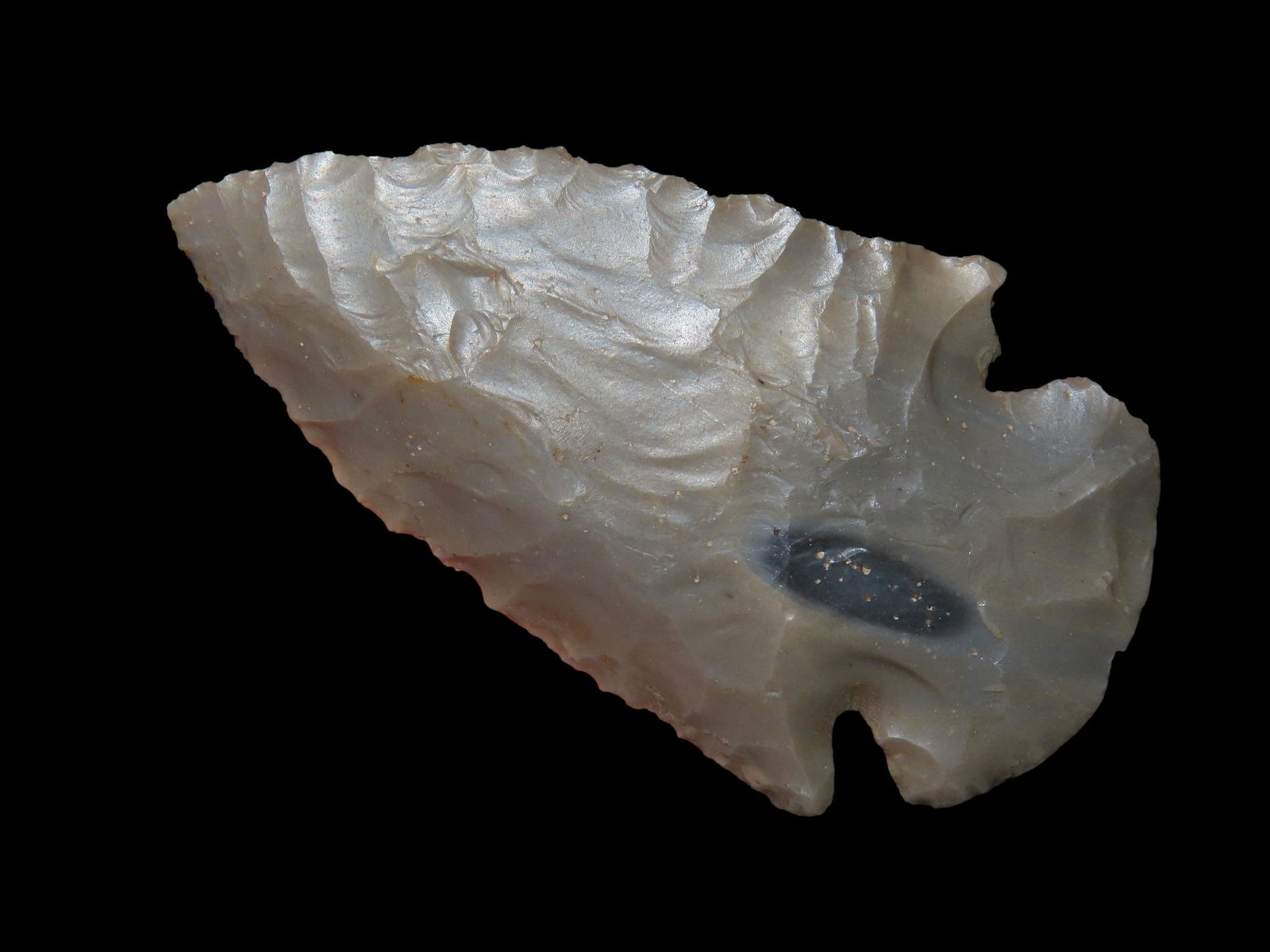 2 1/4" Dovetail DeKalb CO Illinois (1 of 8)