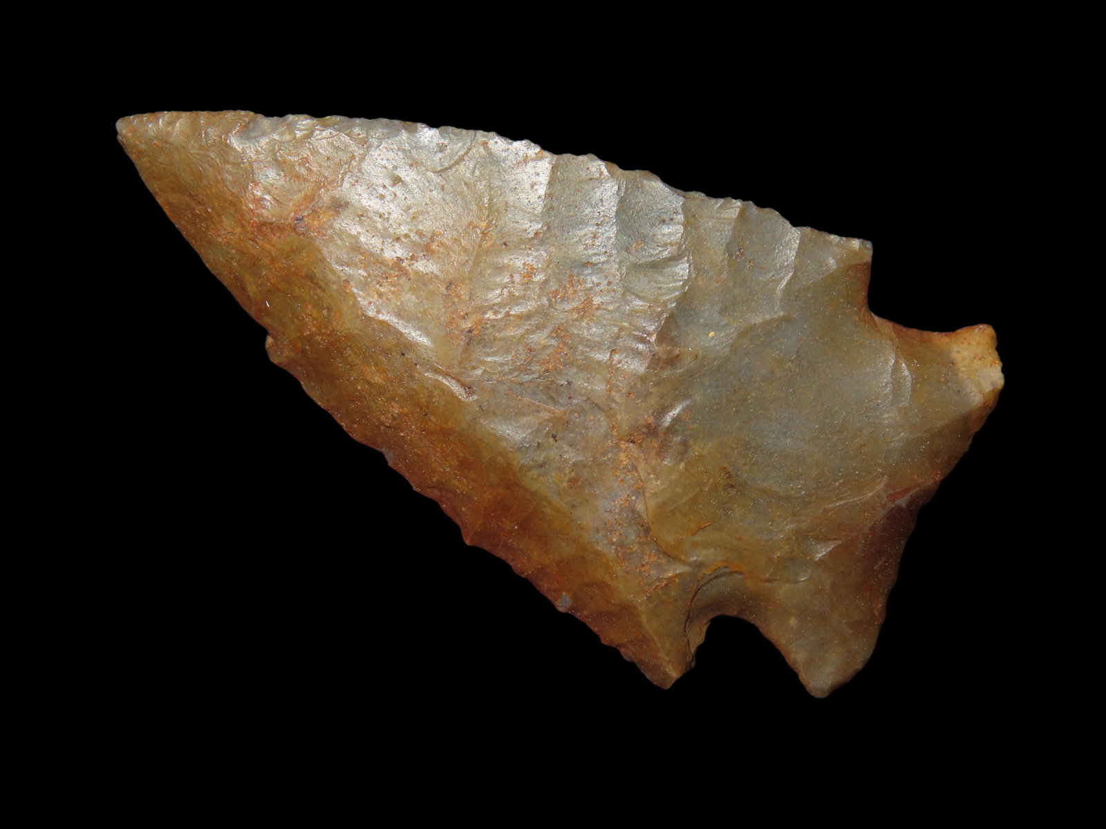 2 1/2" Hardin, Ex Nathan McWhirter, Iowa (1 of 5)