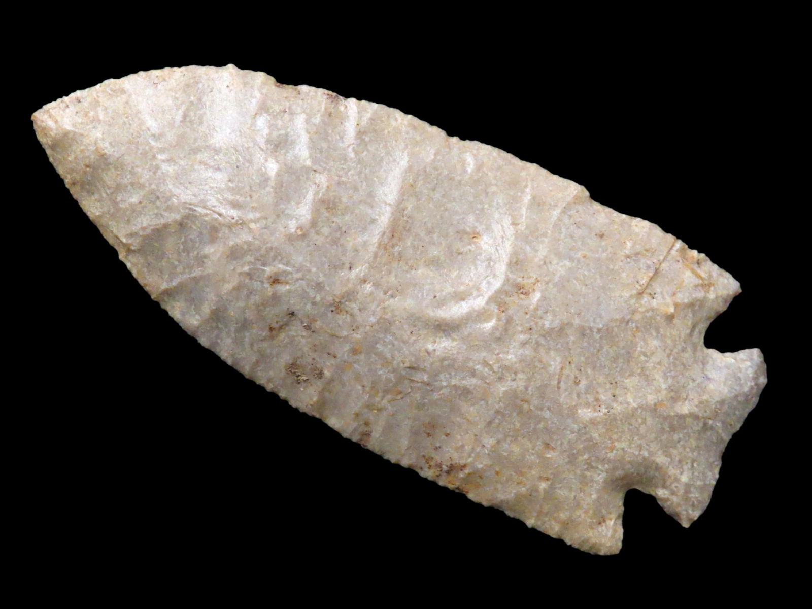 4 5/8" Early Stage Hardin- Orange County Indiana- Ex D.C Radcliffe- Ex Jim Crawford -Greg Perino COA: 4 5/8" Early Stage Hardin- Orange County Indiana- Ex D.C Radcliffe- Ex Jim Crawford -Greg Perino COA - Roy Motley COA