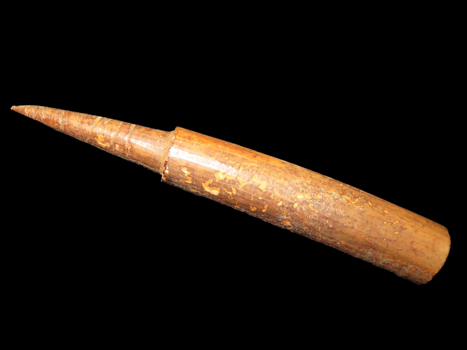 4 3/8" Alaskan Eskimo Harpoon (1 of 6)