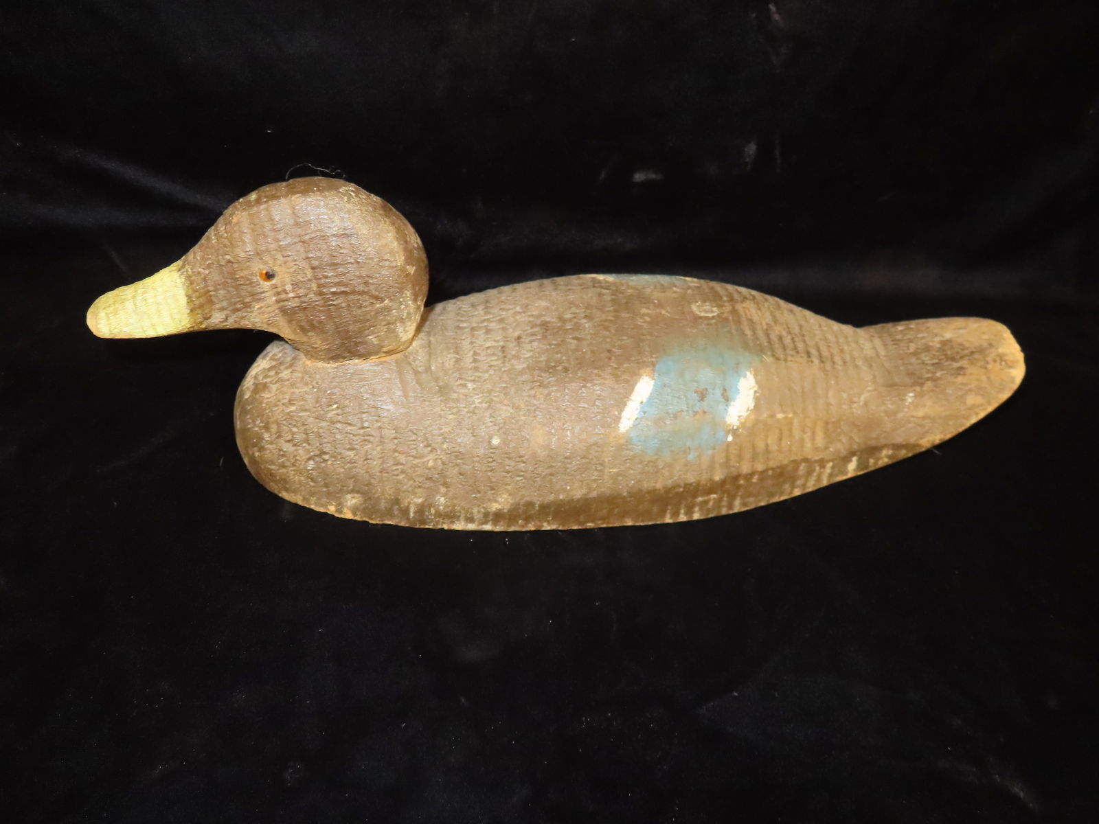 Wooden Blackduck, Ex Briscoe Collection, Duck/goose Decoy, Waterfowl