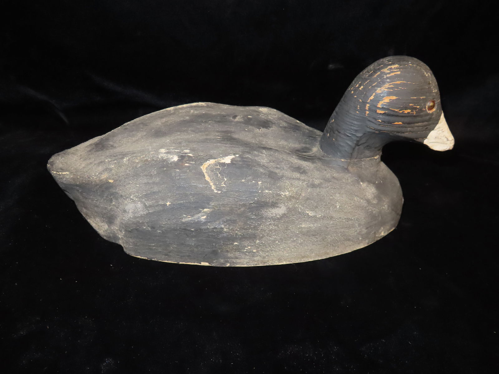 Wooden Coot Decoy, Ex Briscoe Collection, Duck/goose Decoy, Waterfowl