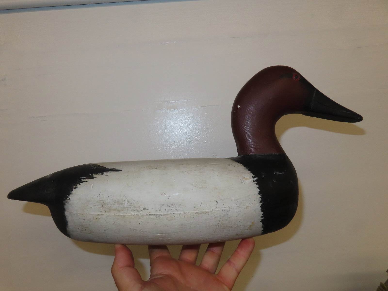 Sale Highlight! Working Canvas Back Decoy, made by Roy Hancock in the 1940's, original eyes, has (1 of 8)