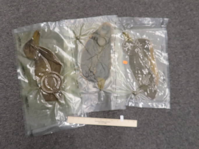 3 Antique Decoys, In Vacuum Bags, Ex Briscoe Collection, Duck/goose