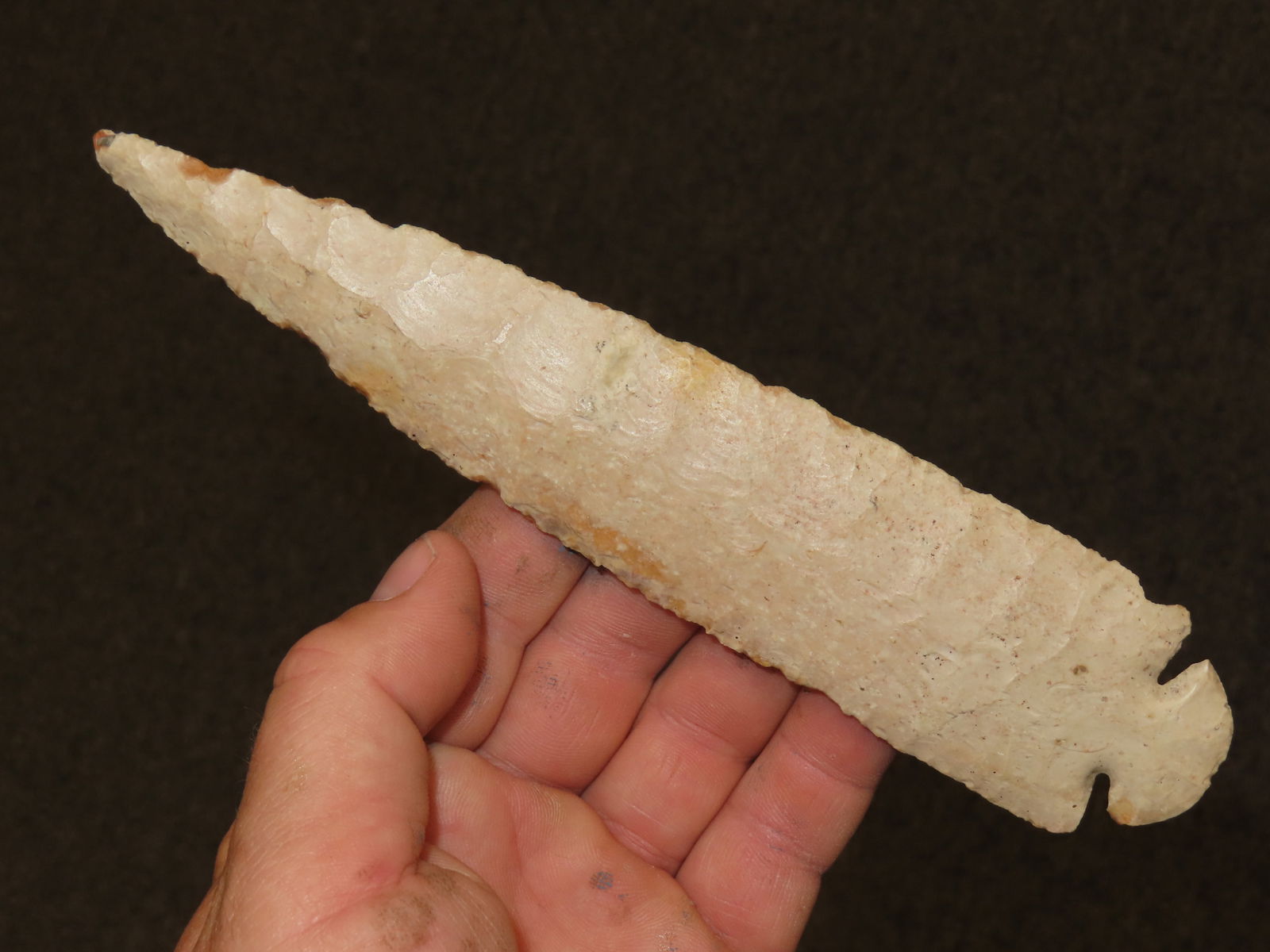 7 3/8" Dovetail, Superior Size, Found in Schuyler County Illinois Creek Stained Burlington (1 of 13)