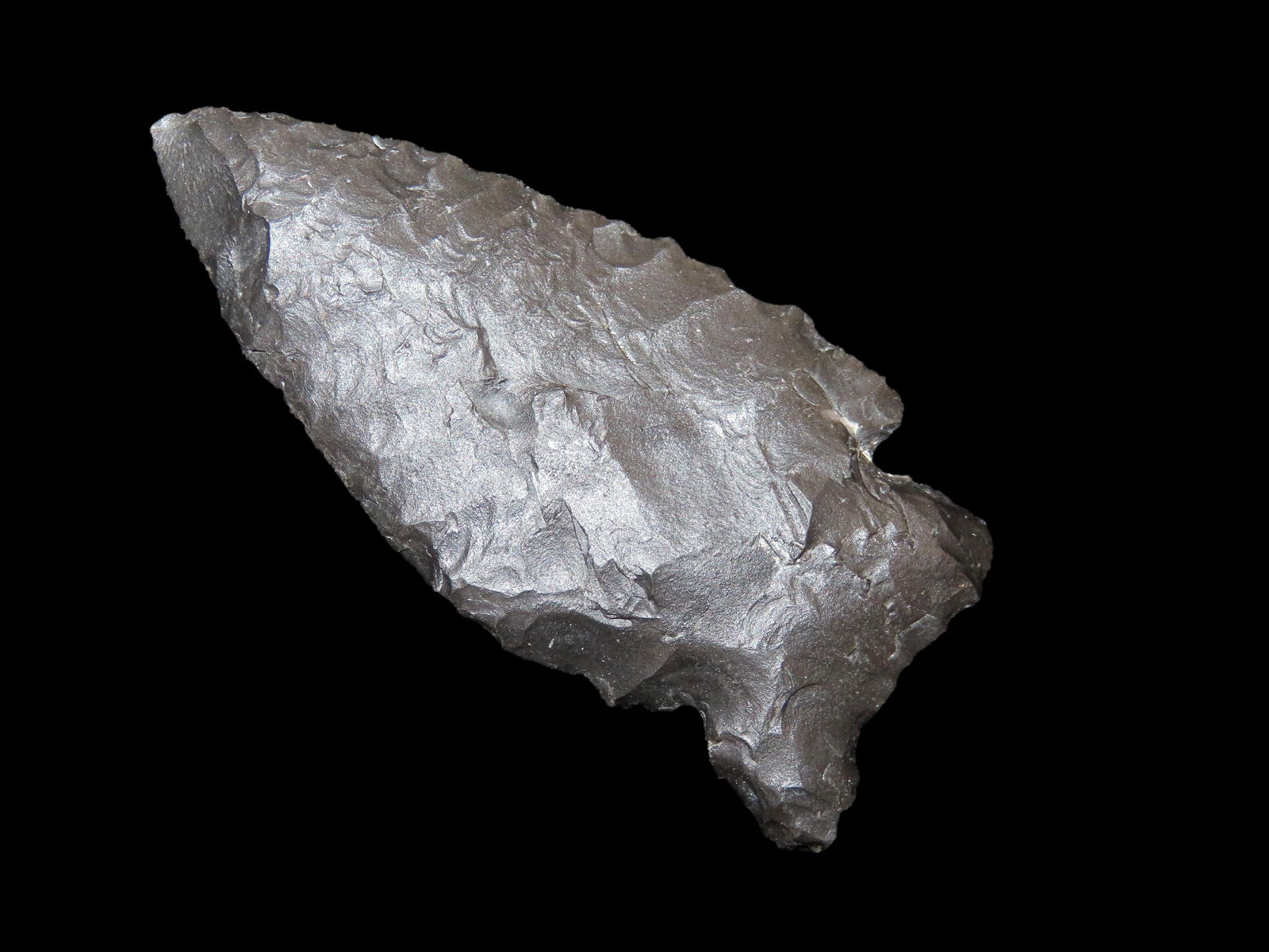 2 3/4" Pluvial Lakes, Obsidian, Collection from Sacramento California (1 of 4)