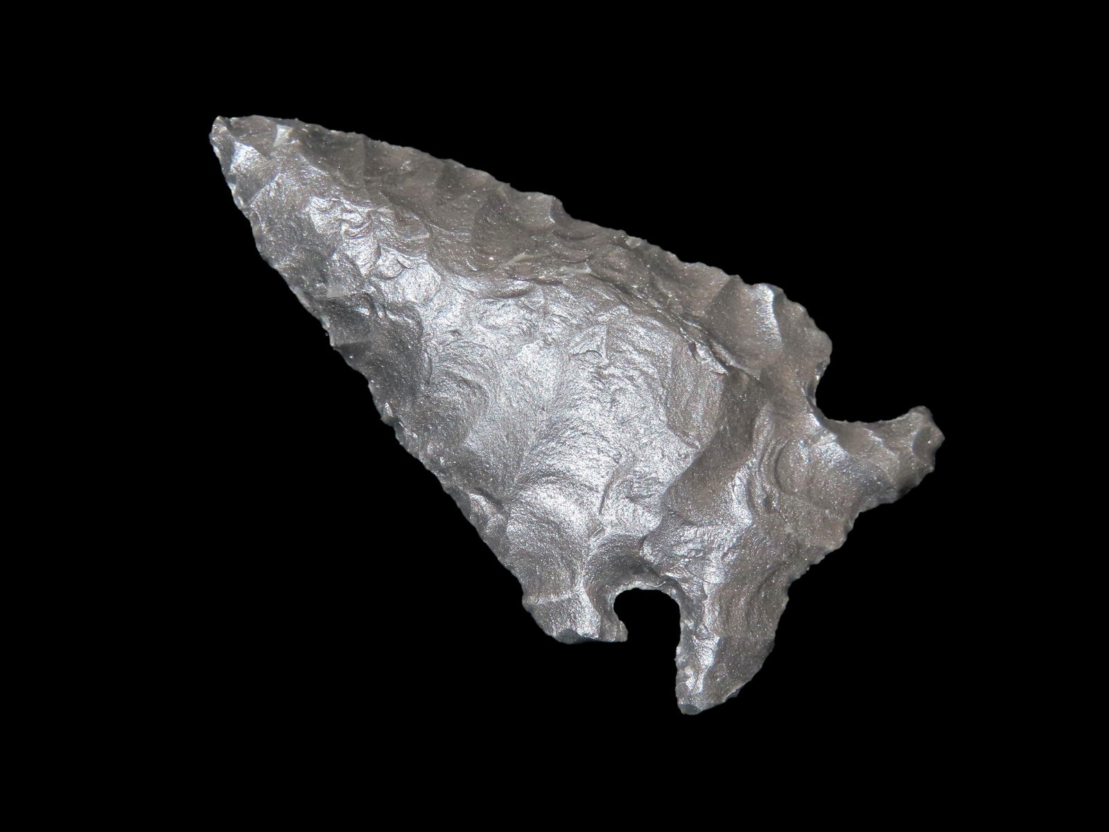 2"Elko Eared, Obsidian, Collection from Sacramento California: 2"Elko Eared, Obsidian, Collection from Sacramento California