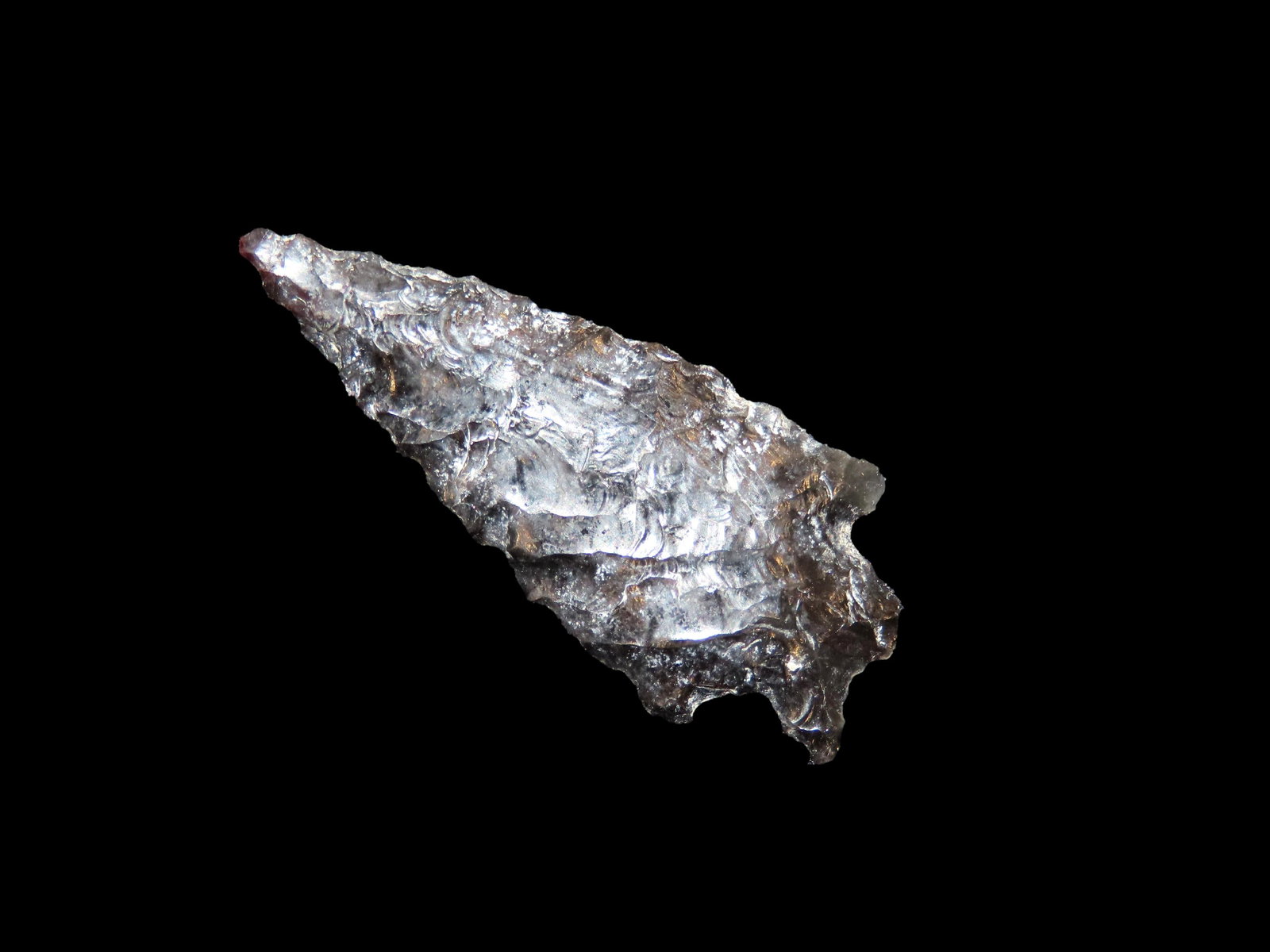 1 5/8" Elko, Obsidian, Collection from Sacramento California: 1 5/8" Elko, Obsidian, Collection from Sacramento California