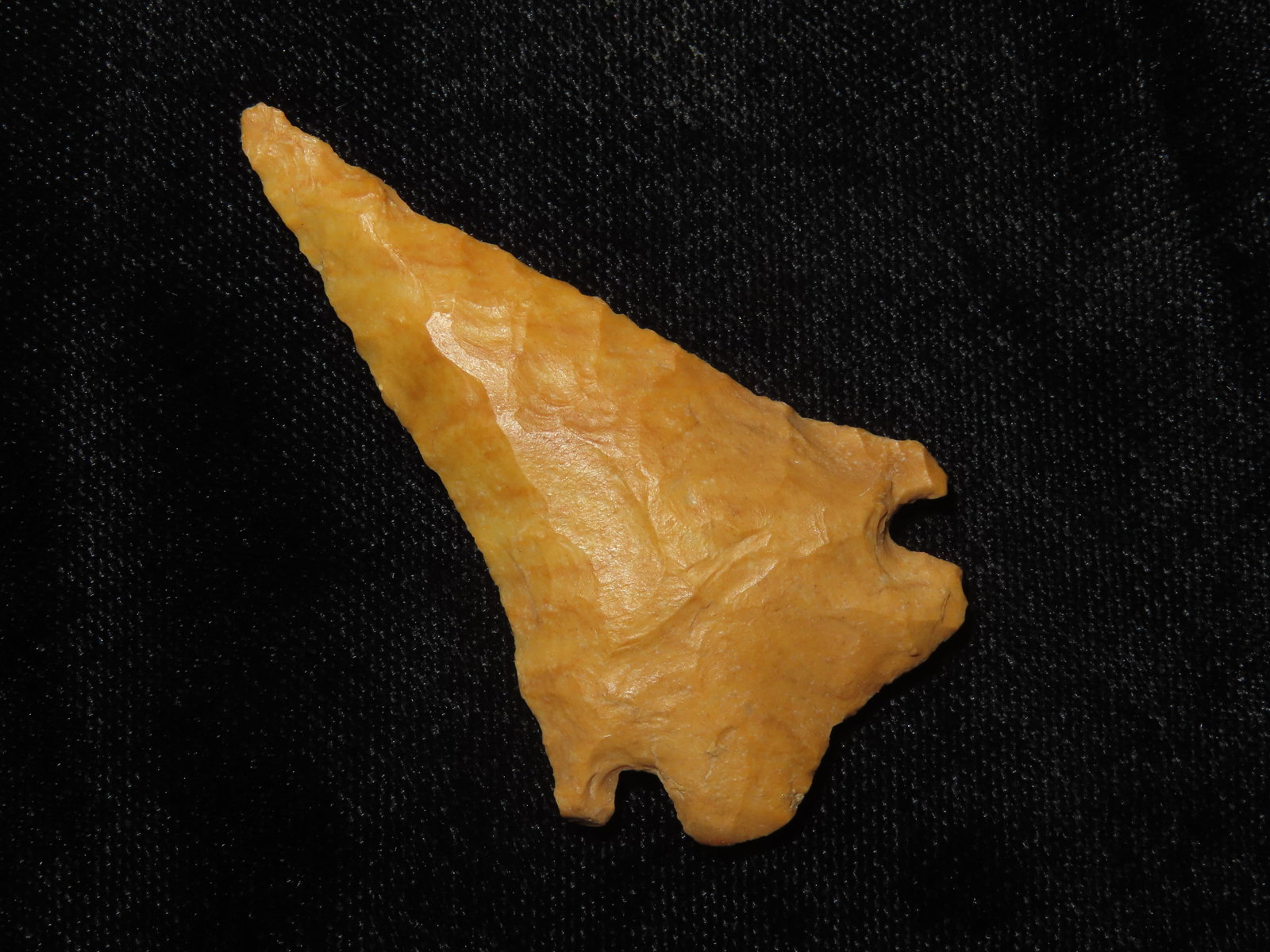 2 1/8" Pine Tree, Ex Chris Leandro (1 of 6)