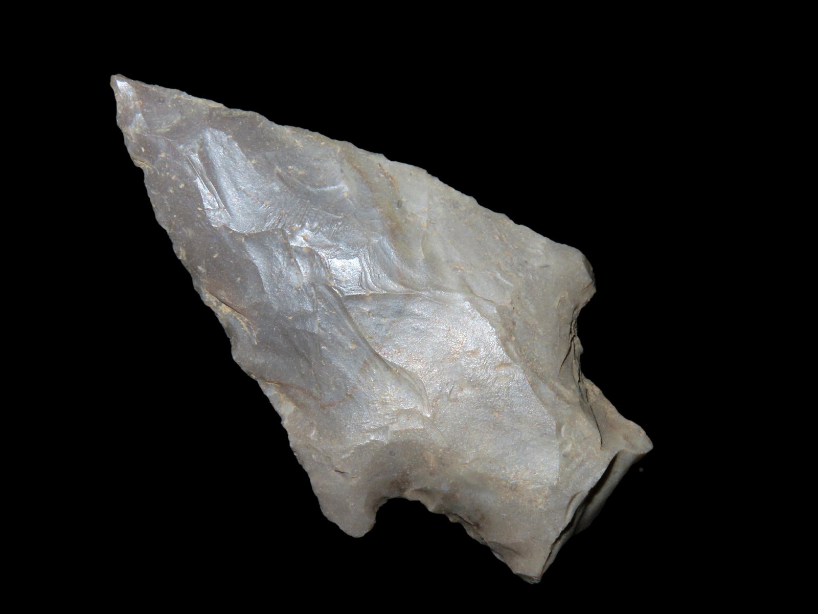 2 7/16" ARCHAIC SQUARE STEM FOUND IN KENTUCKY BY LEROY WILLIAMS, ARROWHEAD INDIAN ARTIFACT: 2 7/16" ARCHAIC SQUARE STEM FOUND IN KENTUCKY BY LEROY WILLIAMS, ARROWHEAD INDIAN ARTIFACT