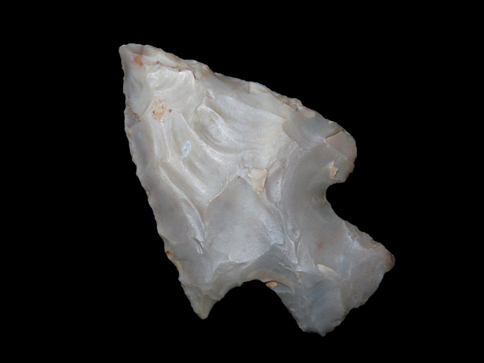1 7/8" BUCK CREEK FOUND IN KENTUCKY BY LEROY WILLIAMS, ARROWHEAD INDIAN ARTIFACT: 1 7/8" BUCK CREEK FOUND IN KENTUCKY BY LEROY WILLIAMS, ARROWHEAD INDIAN ARTIFACT