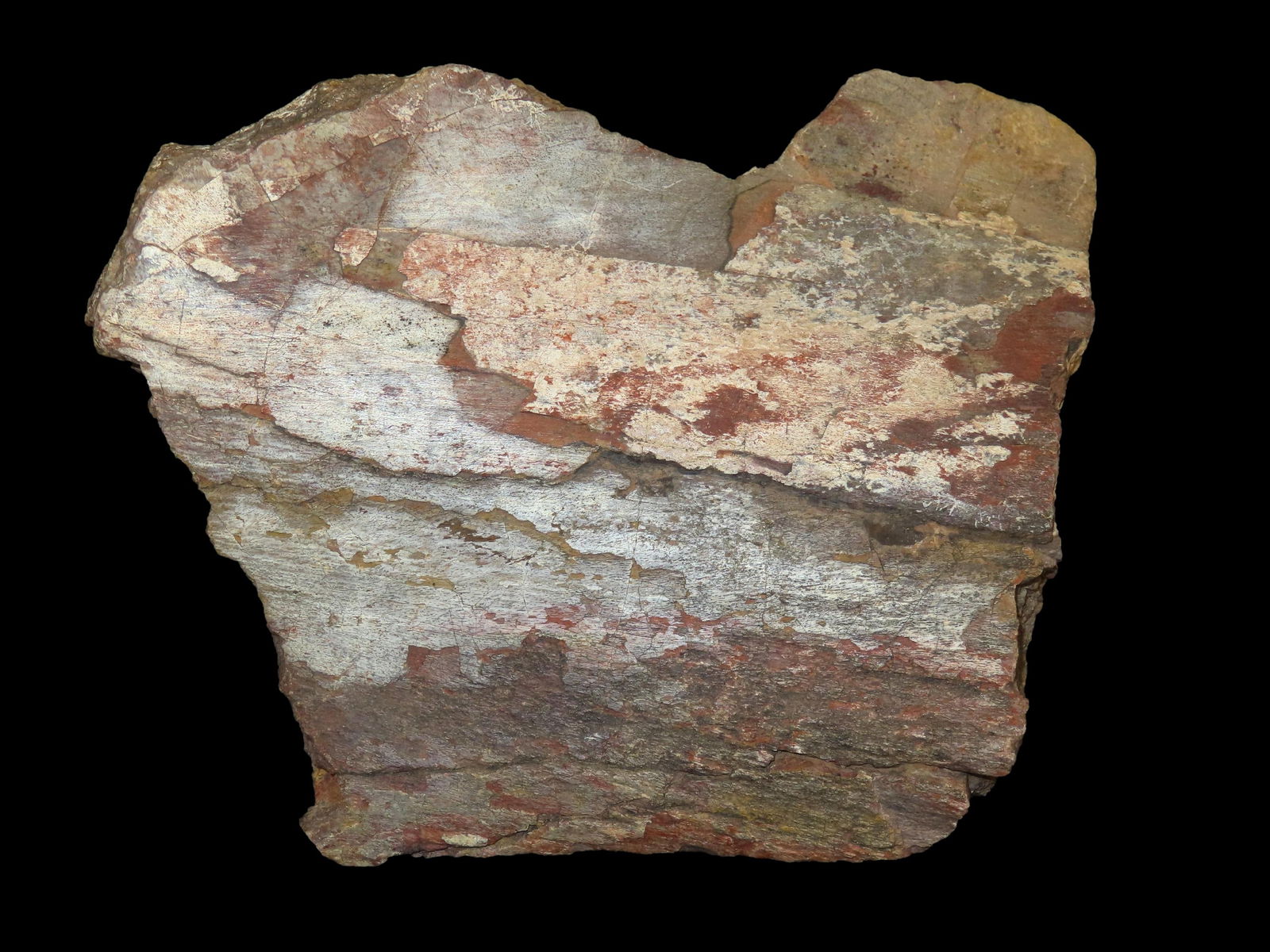 Amazing Fossil Bone Section, Possible Dinosaur, This Section of Relics / Fossils came from the Byron: Amazing Fossil Bone Section, Possible Dinosaur, This Section of Relics / Fossils came from the Byron Knoblock Estate Sale in Quincy Illinois Ex Mary Jo Hunt Collection, 8.1/2" long 6.3/4 wide 2.1/2 th