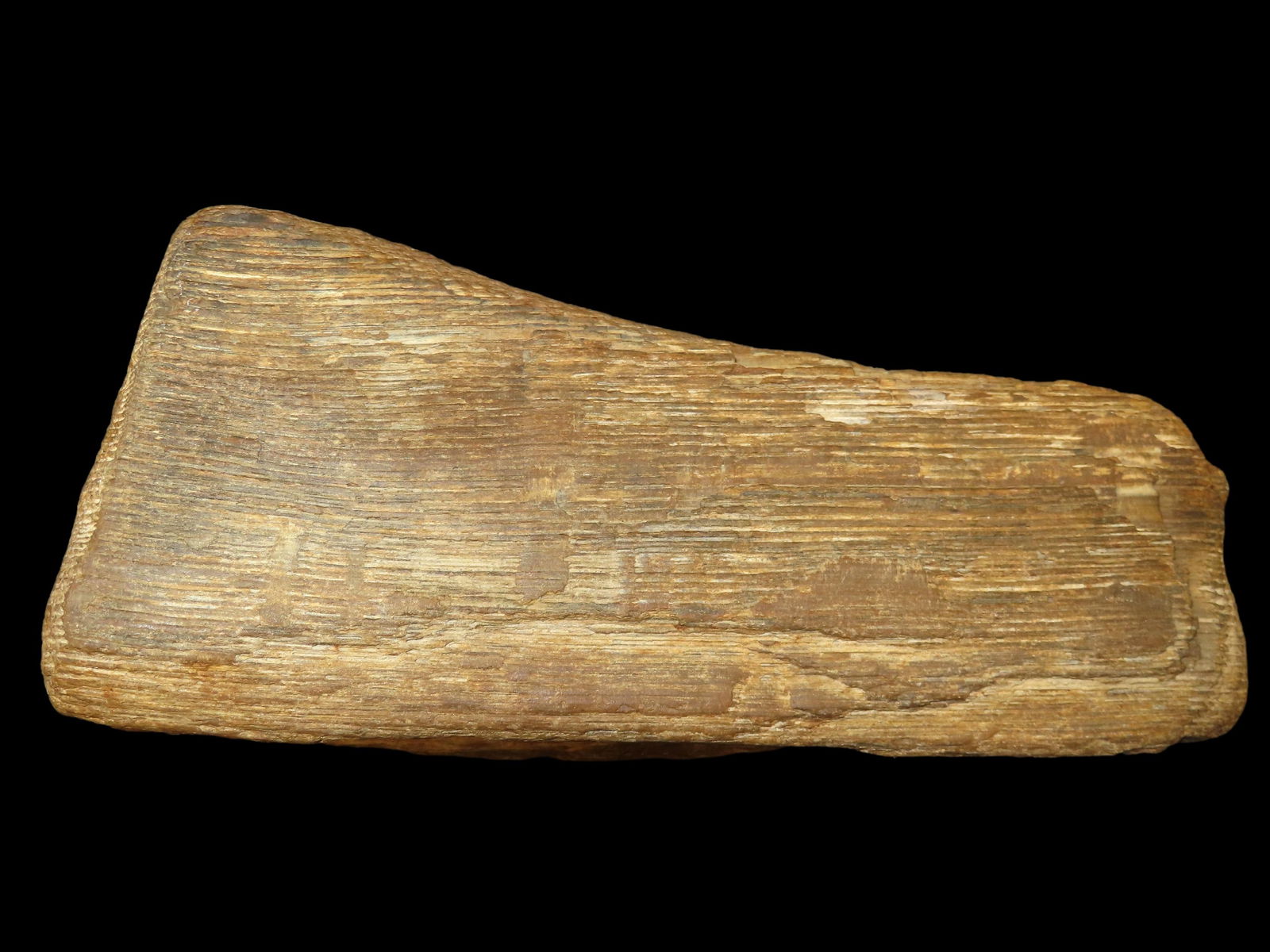 9.1/4" Fossil, Very Unique, This Section of Relics / Fossils came from the Byron Knoblock Estate Sal: 9.1/4" Fossil, Very Unique, This Section of Relics / Fossils came from the Byron Knoblock Estate Sale in Quincy Illinois Ex Mary Jo Hunt Collection