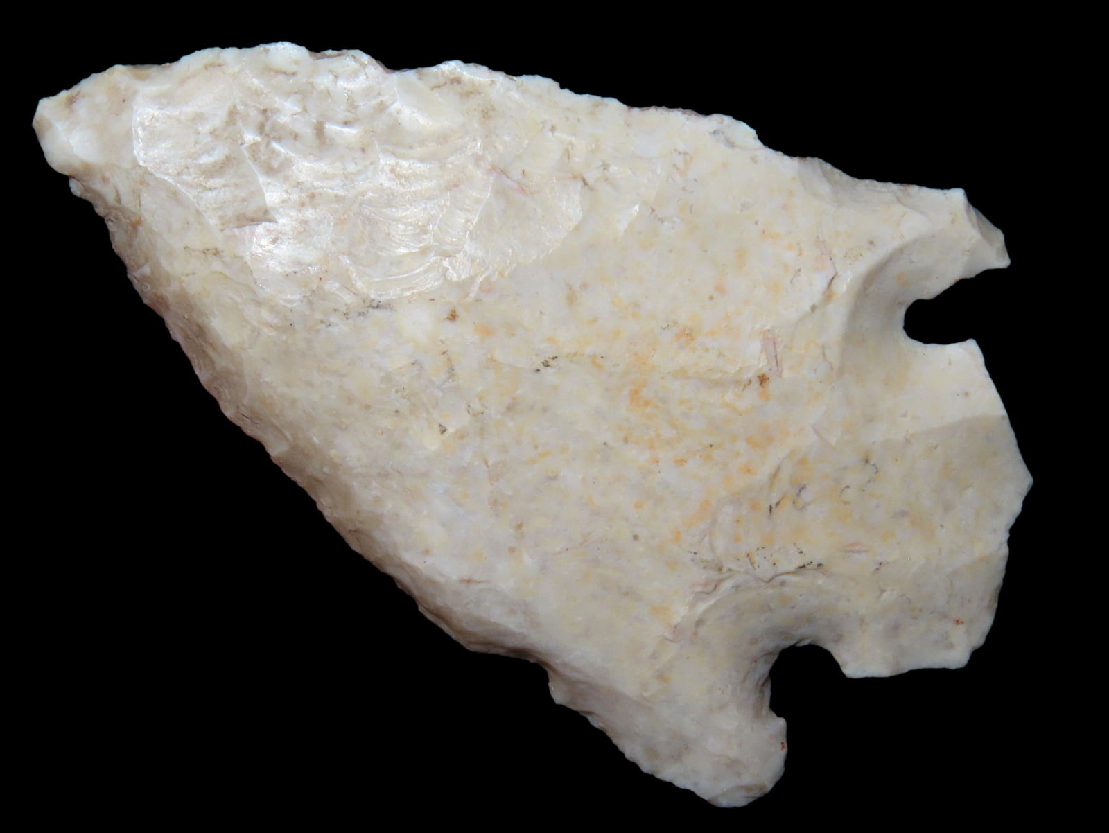 2.3/4" Archaic Beveled Point, This Section of Relics / Fossils came from the Byron Knoblock Estate S (1 of 4)