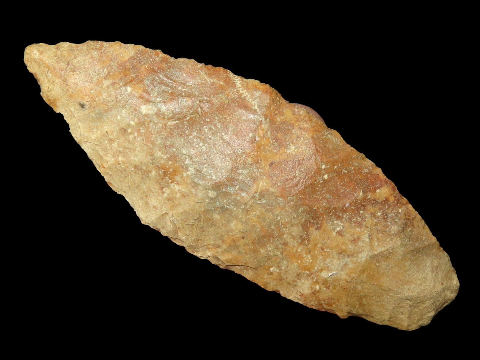 4.1/2" River Stained Sedalia, Keele COA, Ex Steve McCabe Collection, Milan Missouri (1 of 9)