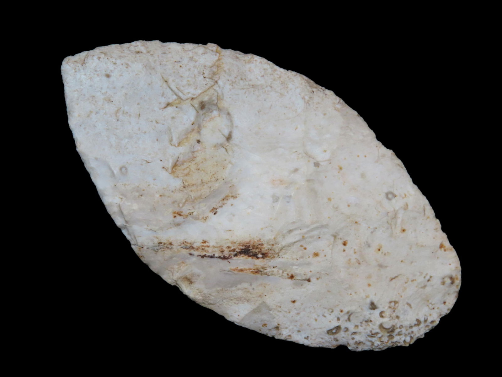 Early Ovoid Paleo Knife, Keele COA, Ex Steve McCabe Collection, 3.3/4" Long (1 of 10)